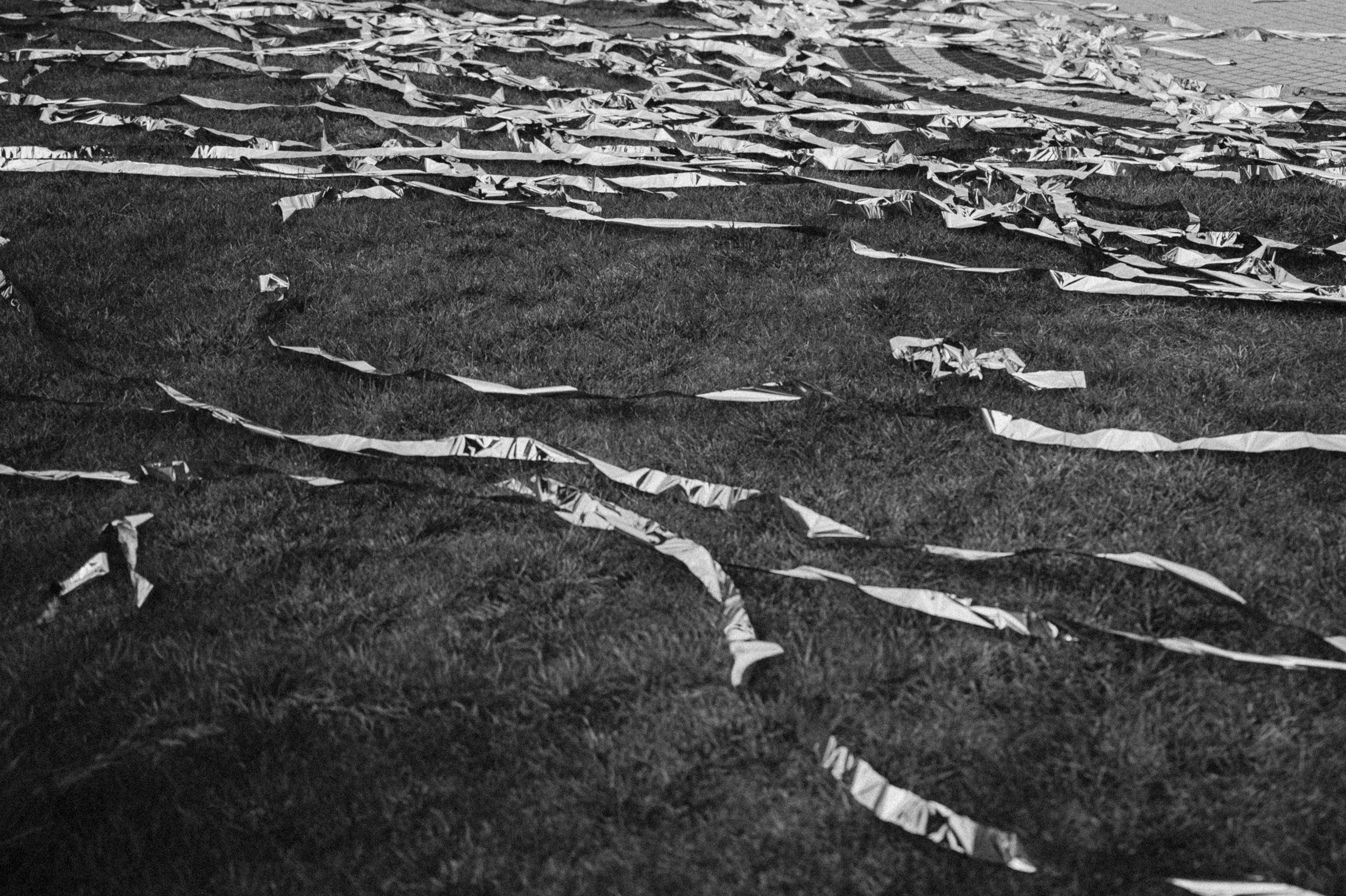 История любви Семёна и Елизаветы. Свадебный и семейный фотограф в Краснодаре Марина Стёпа