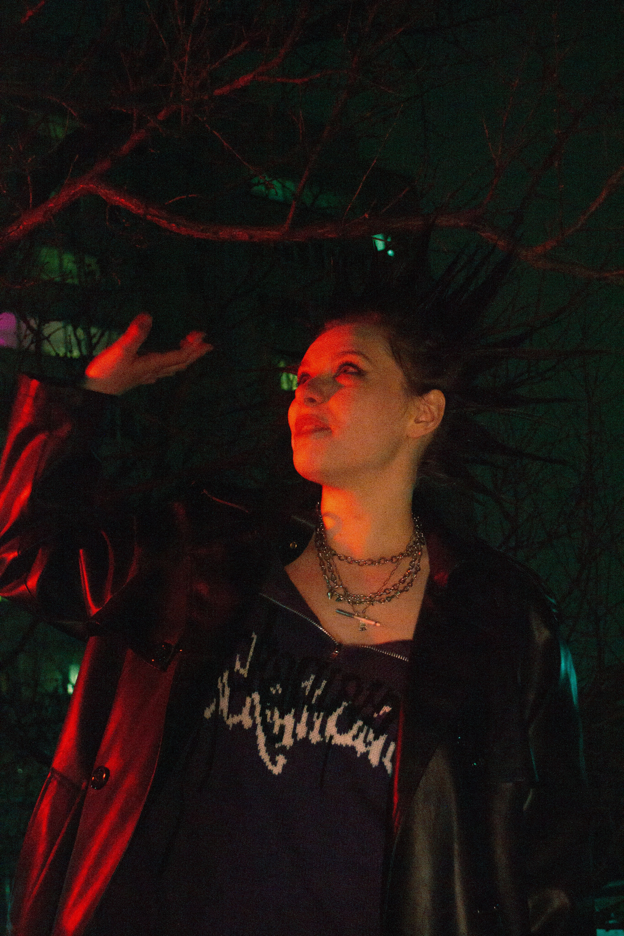 Гошок жив?. Костенко Анна pdie