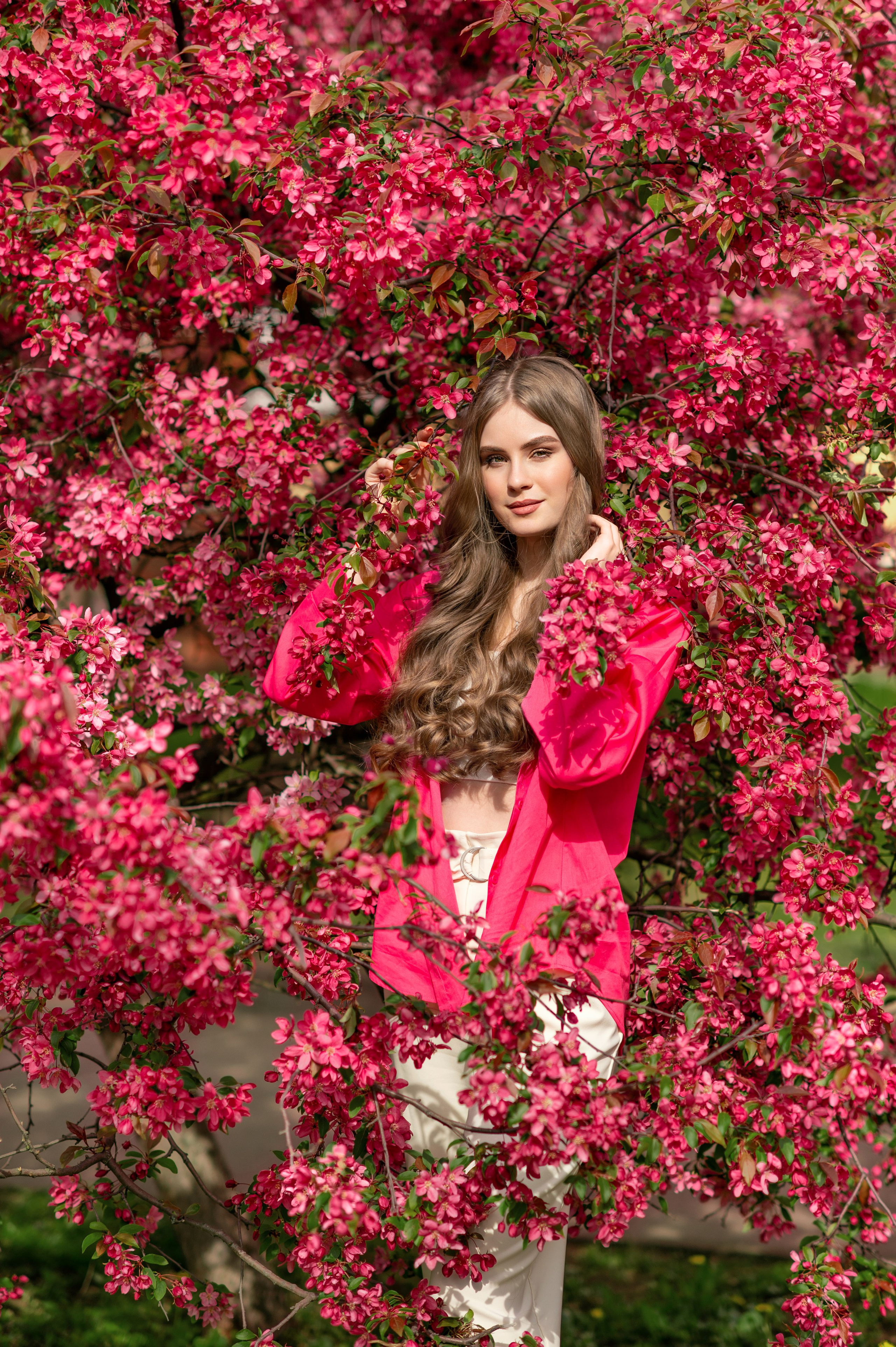 фотосессия в цветении розовых яблонь