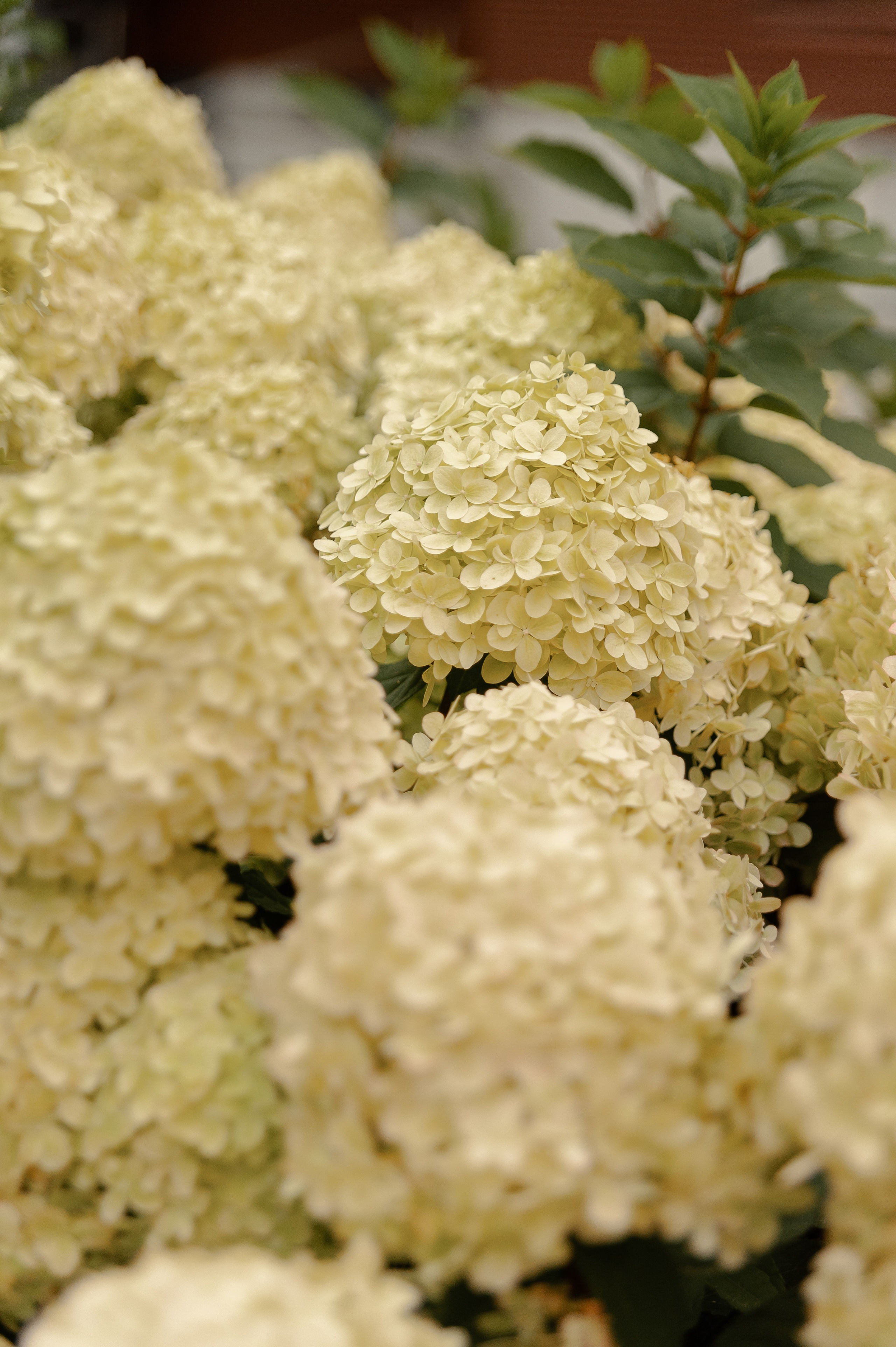 Григорий и Марина. Фотограф в Екатеринбурге Артём Зайнетдинов