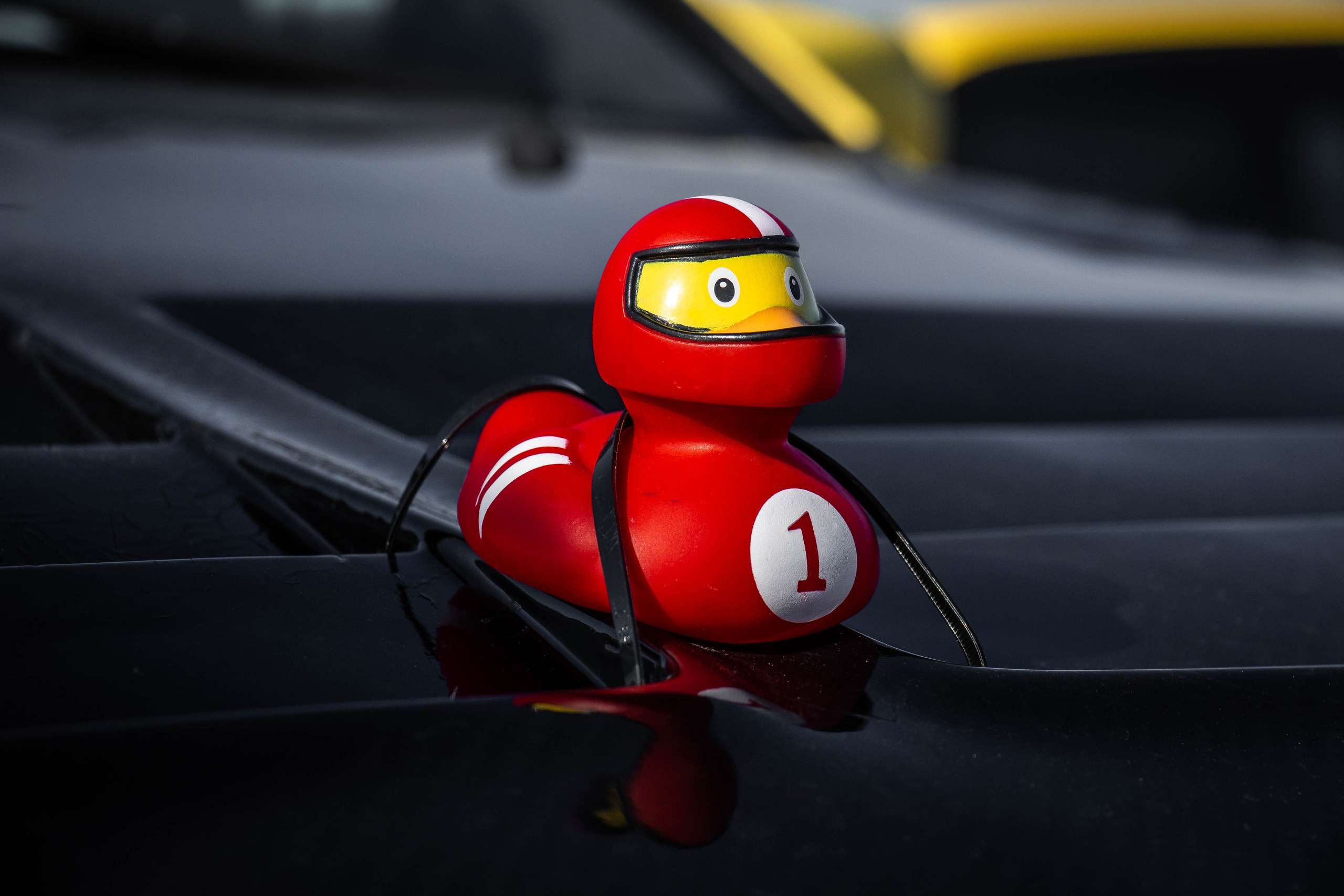 Большие гонки 2019. Александр Попов