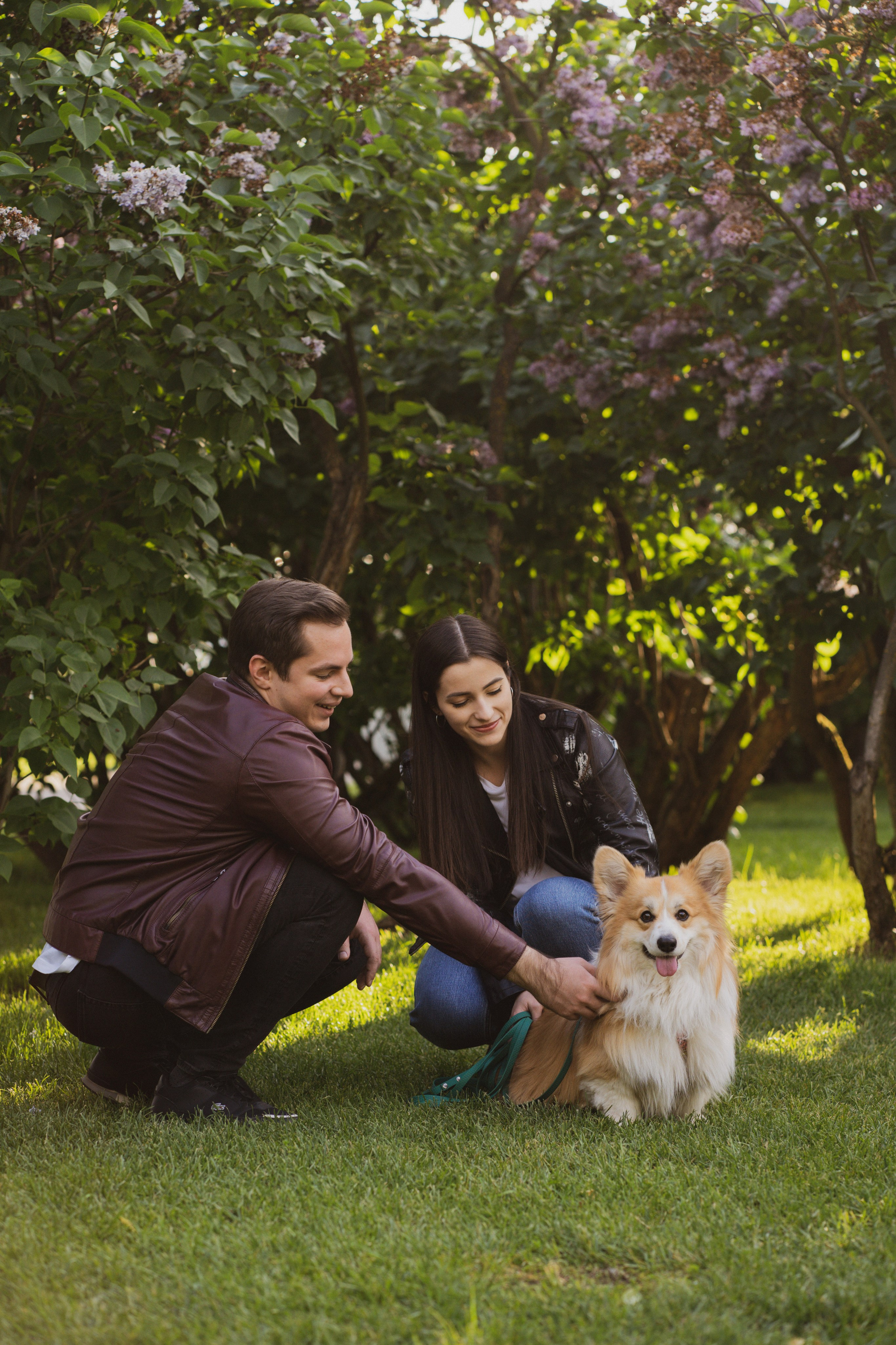 Катя, Арсений и Пух. Свадебный фотограф в Москве Анна Полушина
