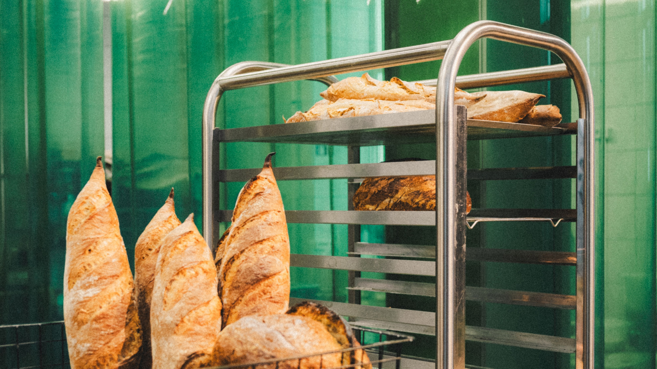 DNA. Фотограф Илья К. в Москве