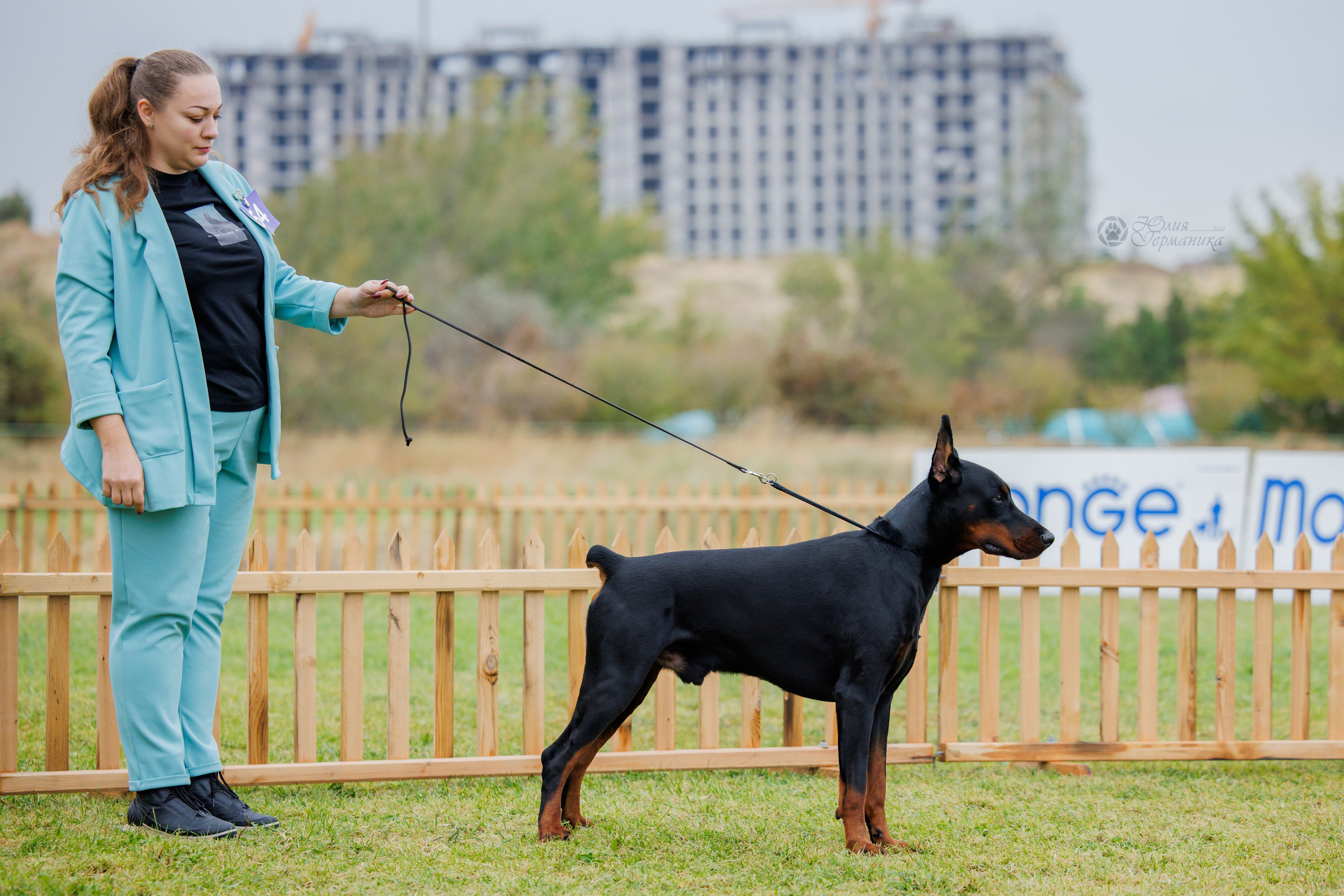 Армения,Ереван 3хCACIB 15-17.10.2024. Фотограф-анималист Юлия Германика