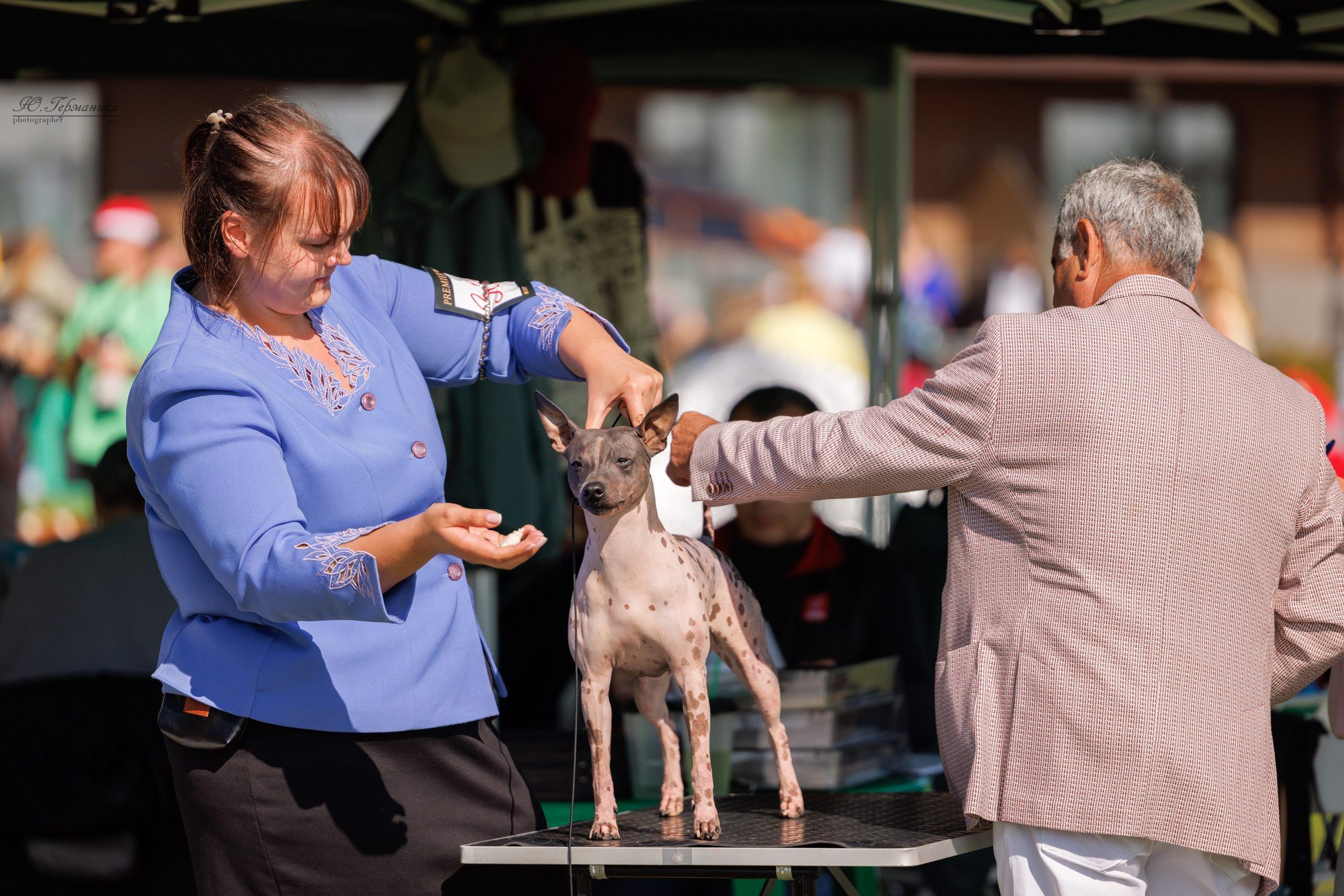 Переславль 5-7.08.2025. Фотограф-анималист Юлия Германика