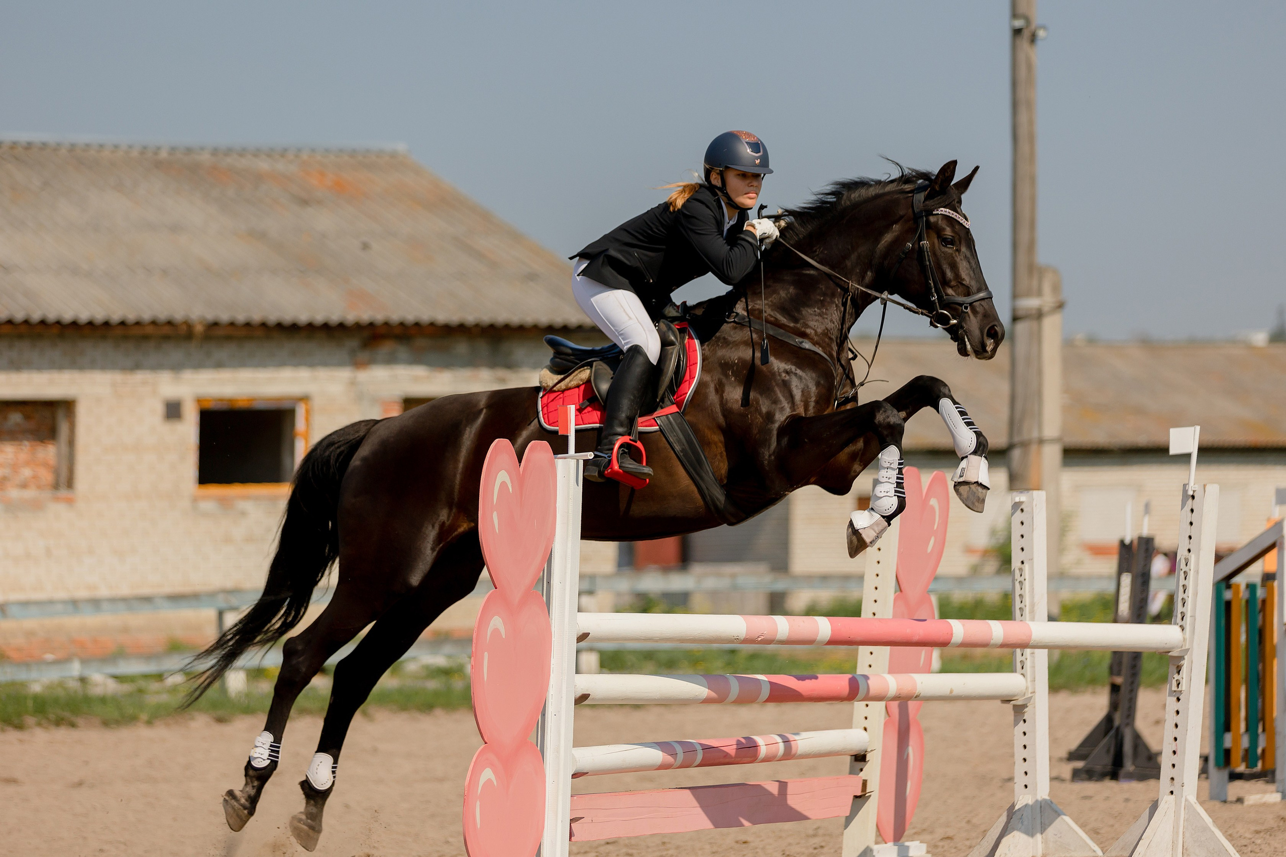 Соревнования по конному спорту. Конный фотограф Валынкина Лера