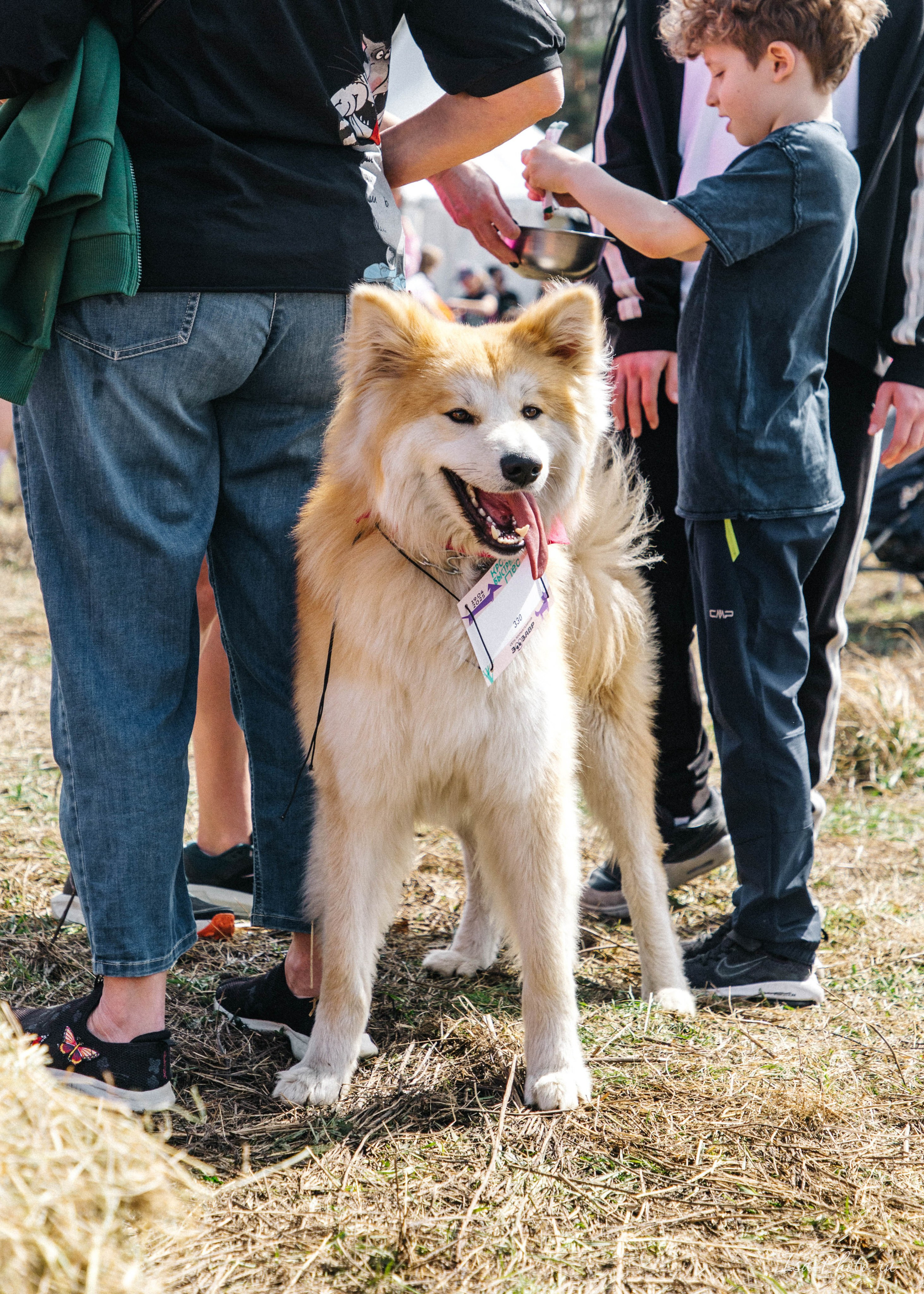 Кросс «Быстрый пёс» 2025. Репортажный фотограф в Москве