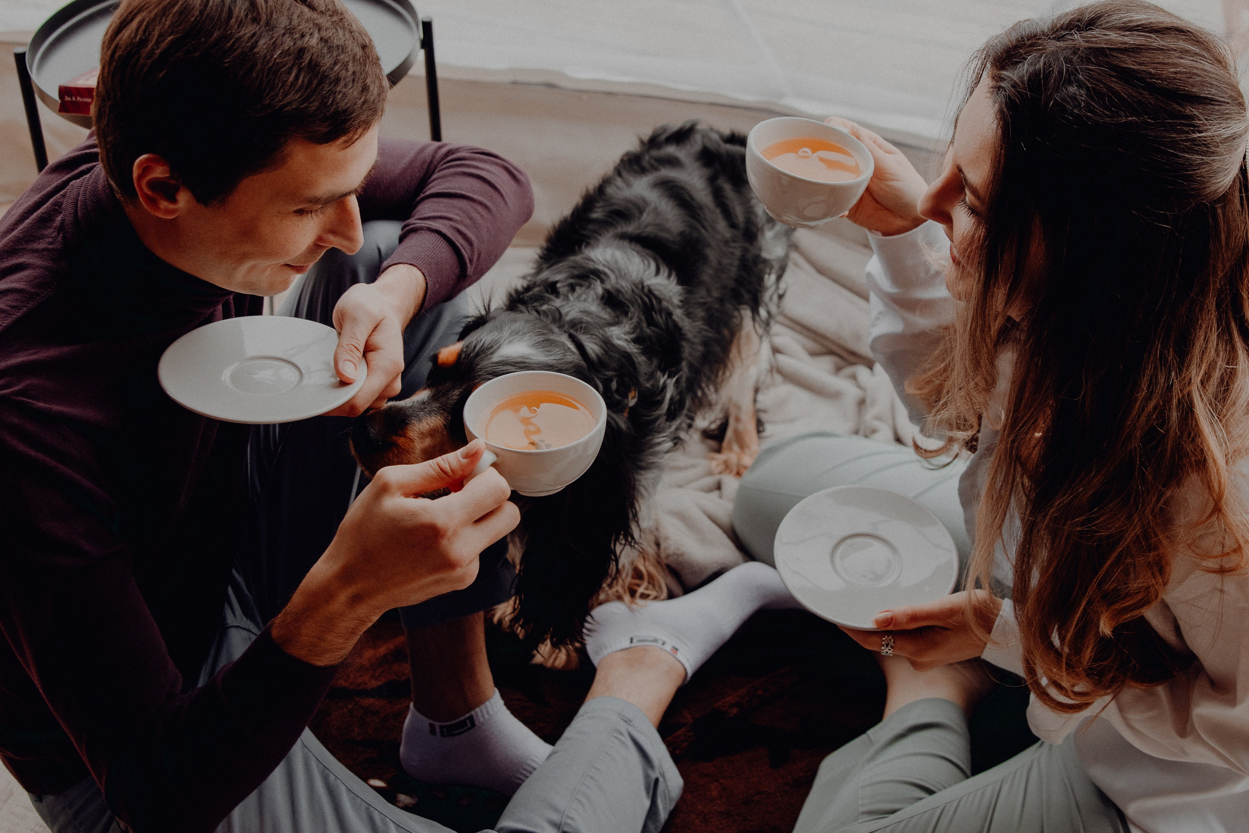 Ася ღ Заур. Портфолио