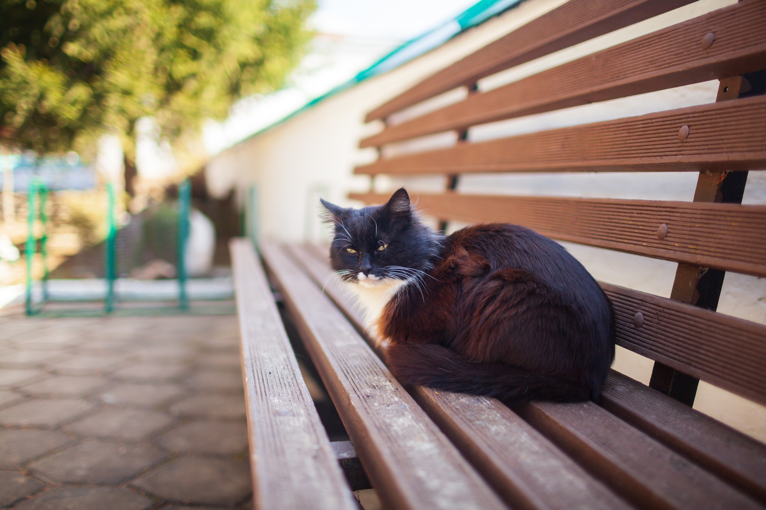 Храм Николая Чудотворца. Фотохудожник Артём Парамонов