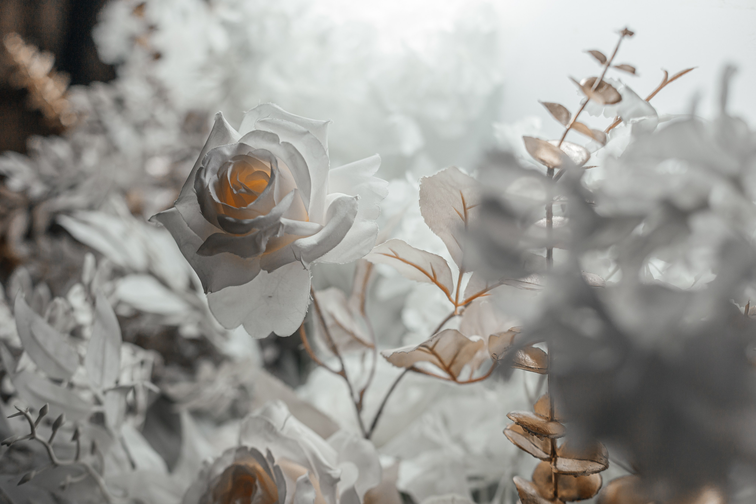 Максим и Катя. Свадебный фотограф в Краснодаре Николай Крауз