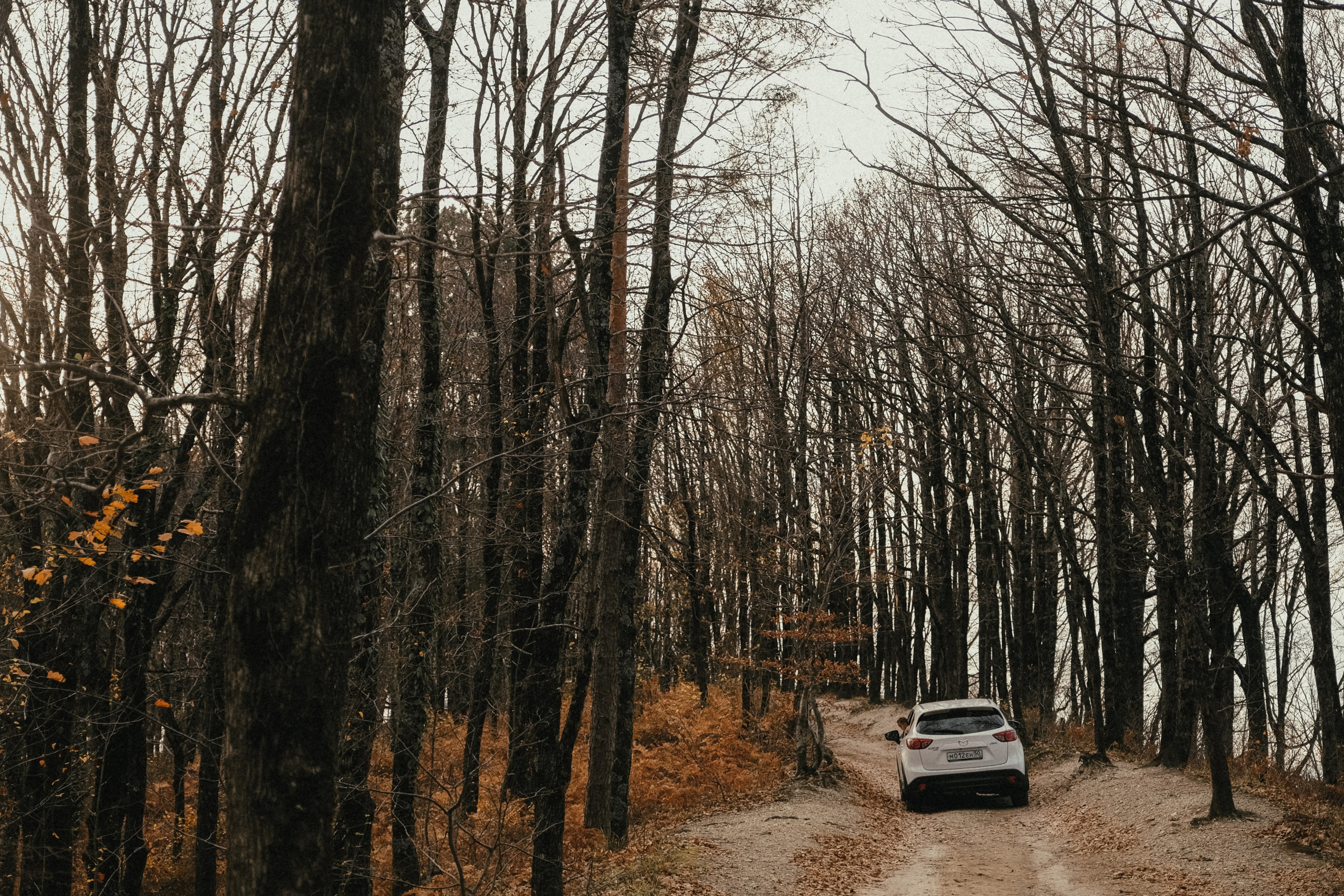 Катя, Паша и Федя. Семейный фотограф Москва