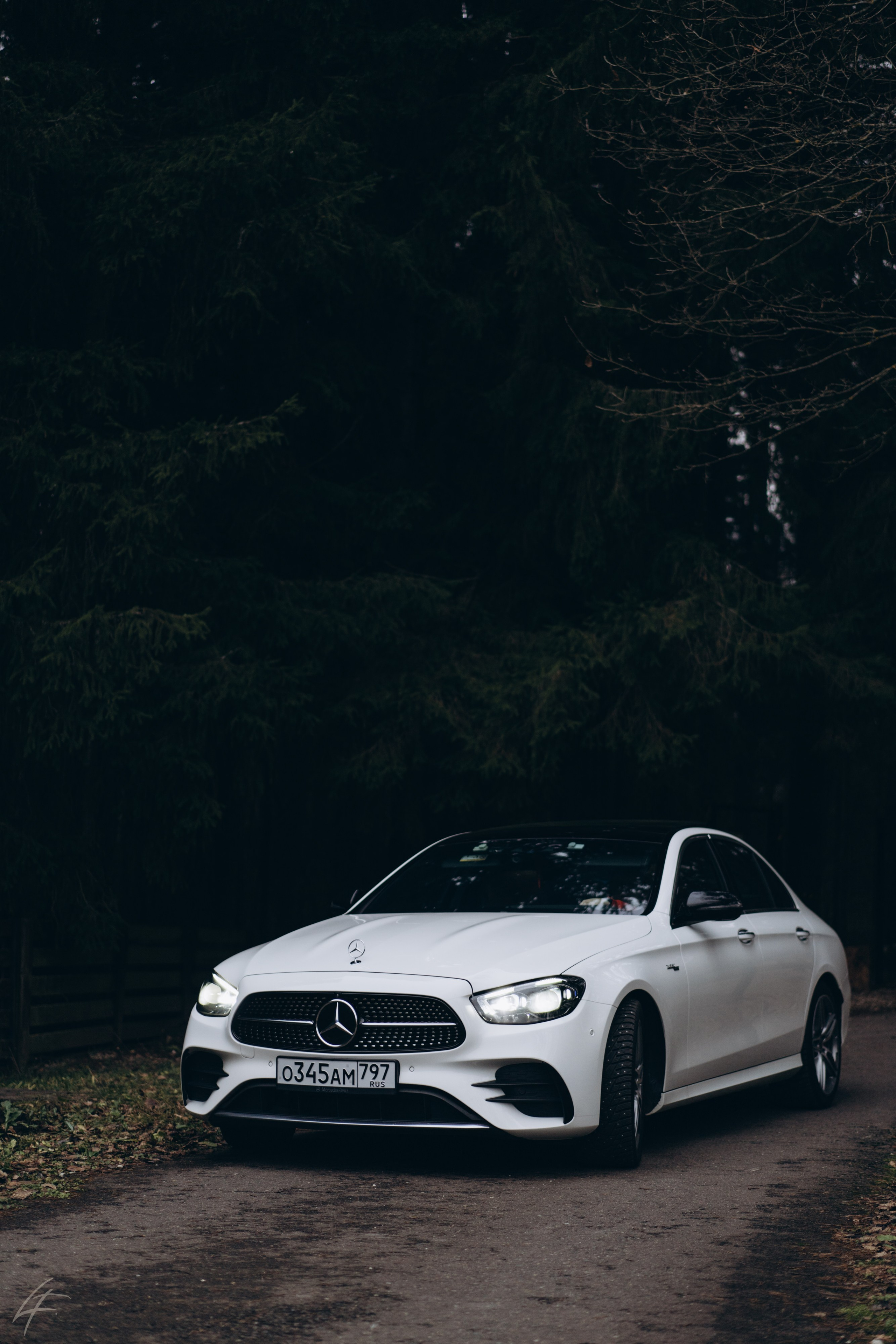 Mercedes-Benz E 350 фотосет Тульская область Заокский район Поленово Москва Серпухов фотограф Фирстова Лиза 