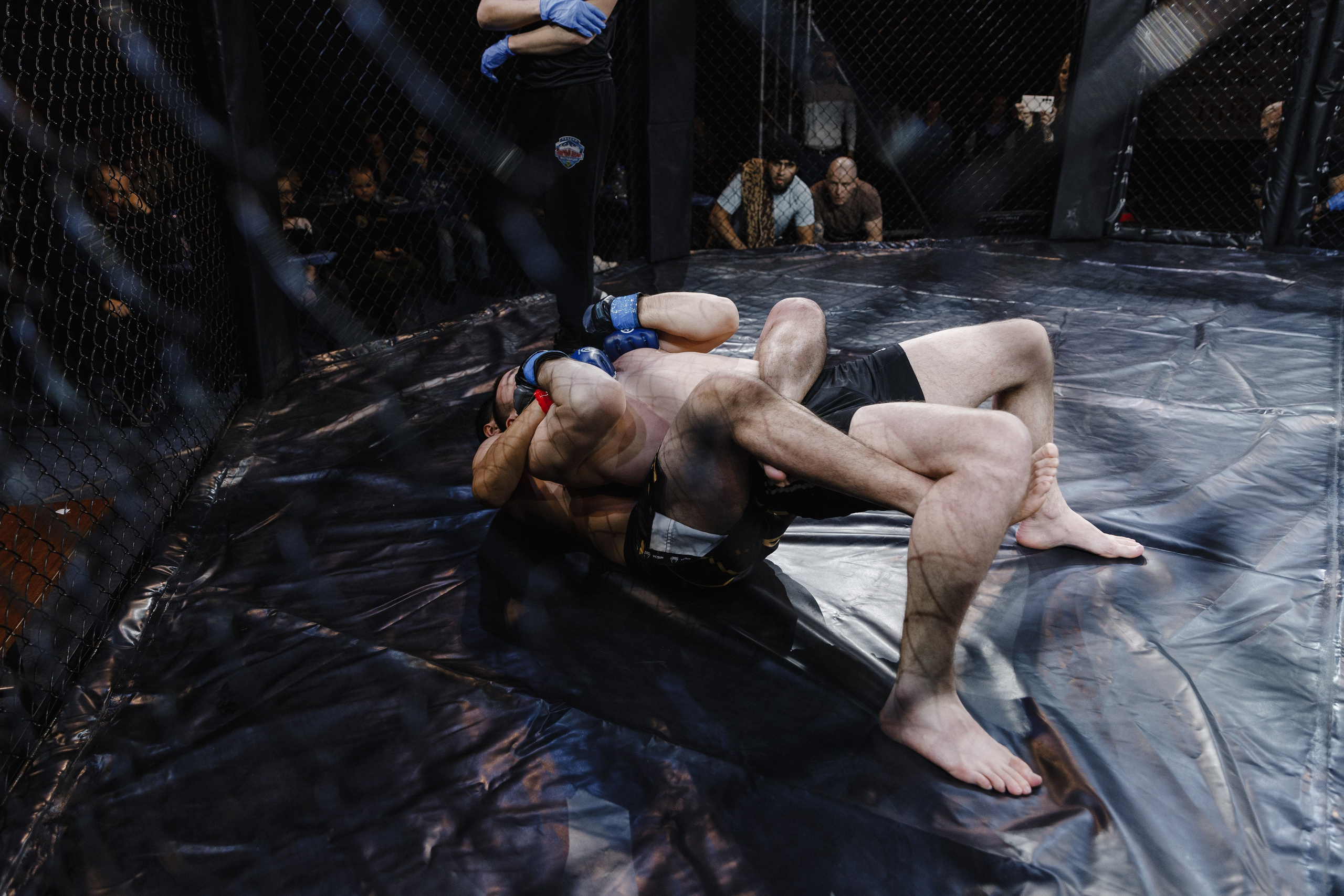 Турнир по ММА «Освобождение» 2023 г. Истра. Свадебный фотограф Фадеева Алёна