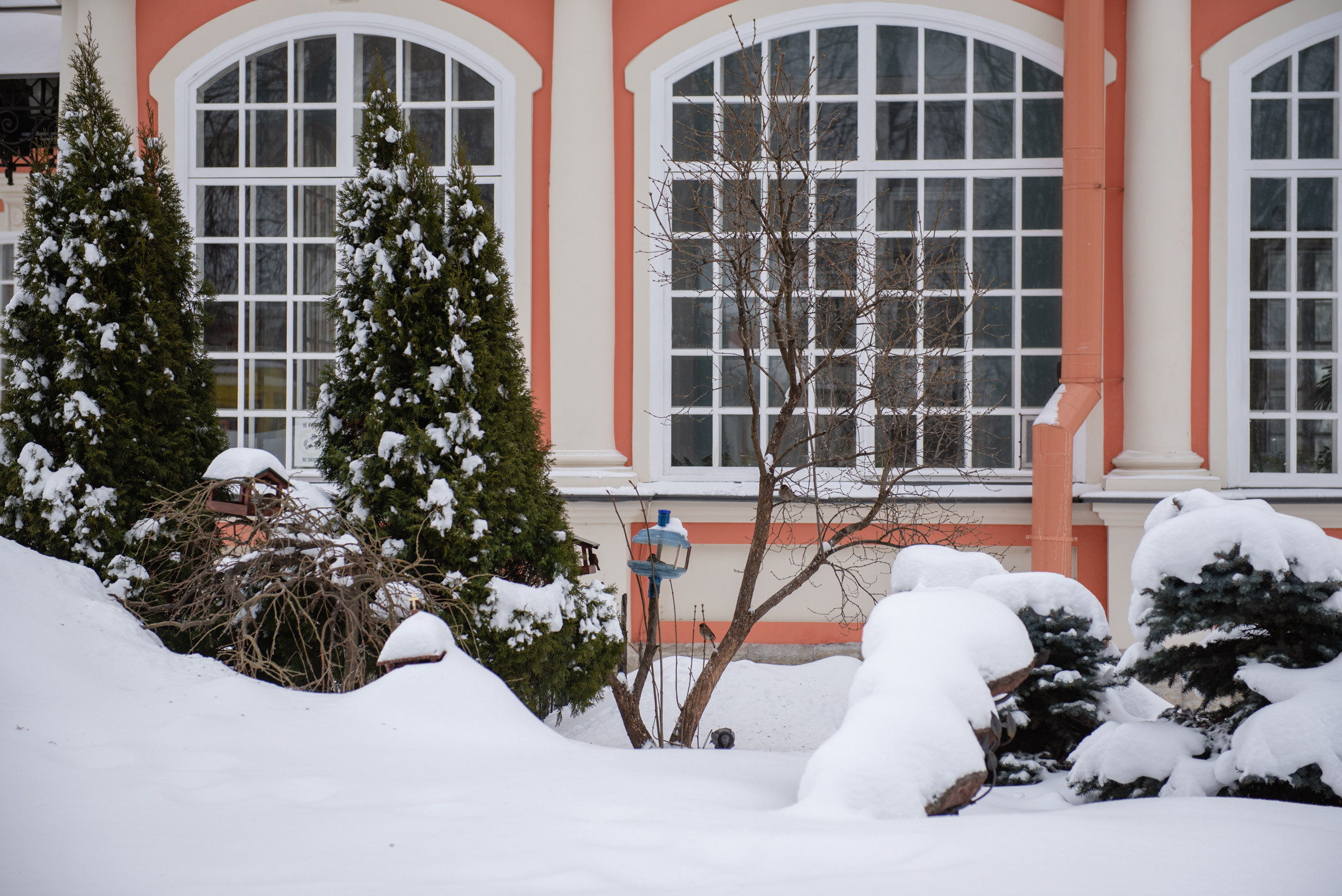 Лавра. Портретный и архитектурный фотограф в Москве и Санкт-Петербурге