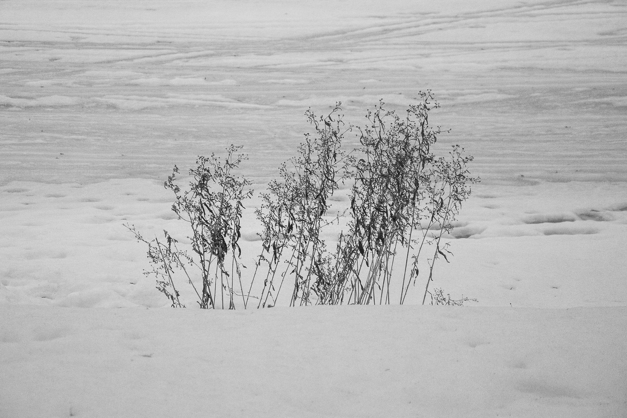 Зима. Портретный и архитектурный фотограф в Москве и Санкт-Петербурге