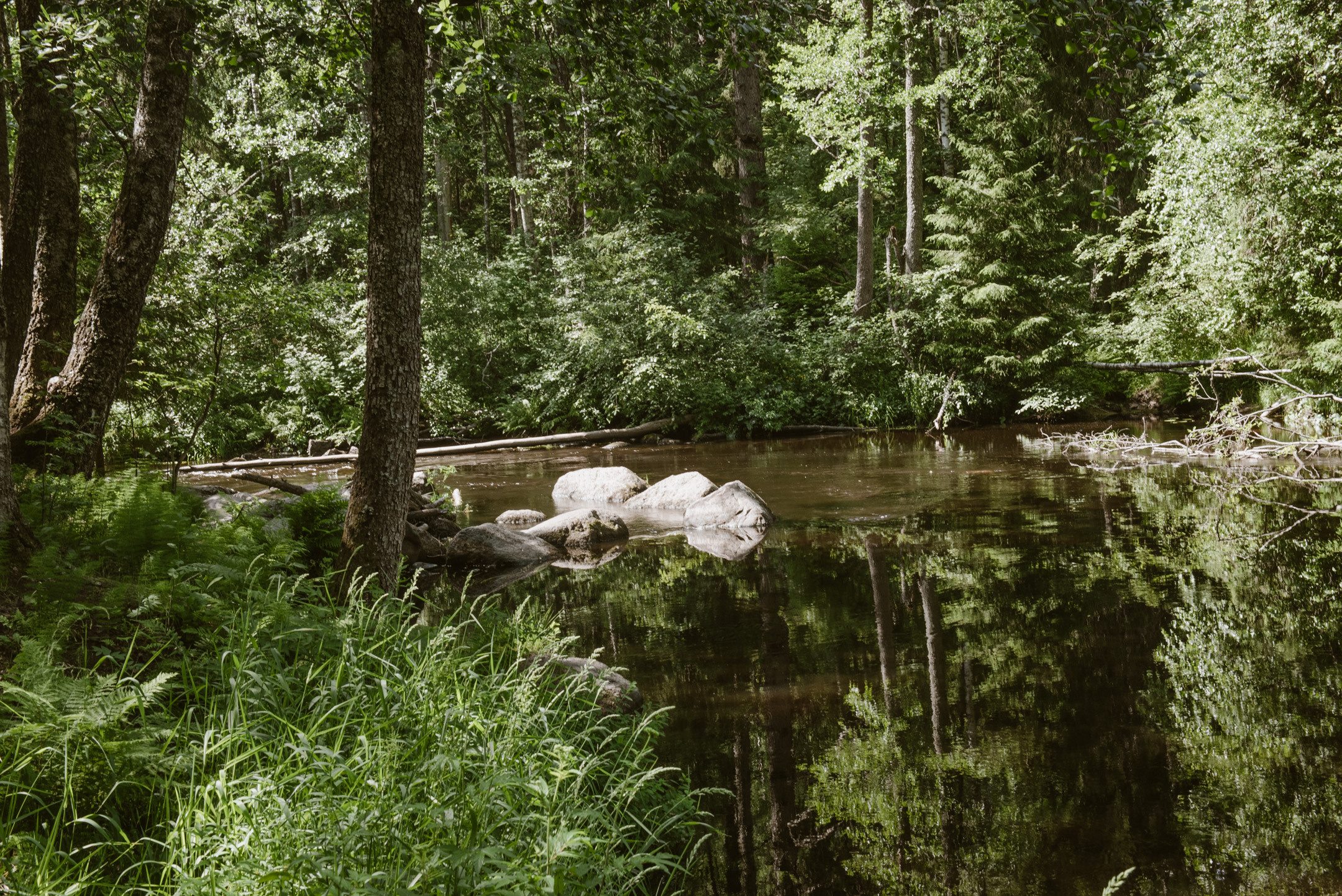 Линдуловская роща. Портретный и архитектурный фотограф в Москве и Санкт-Петербурге