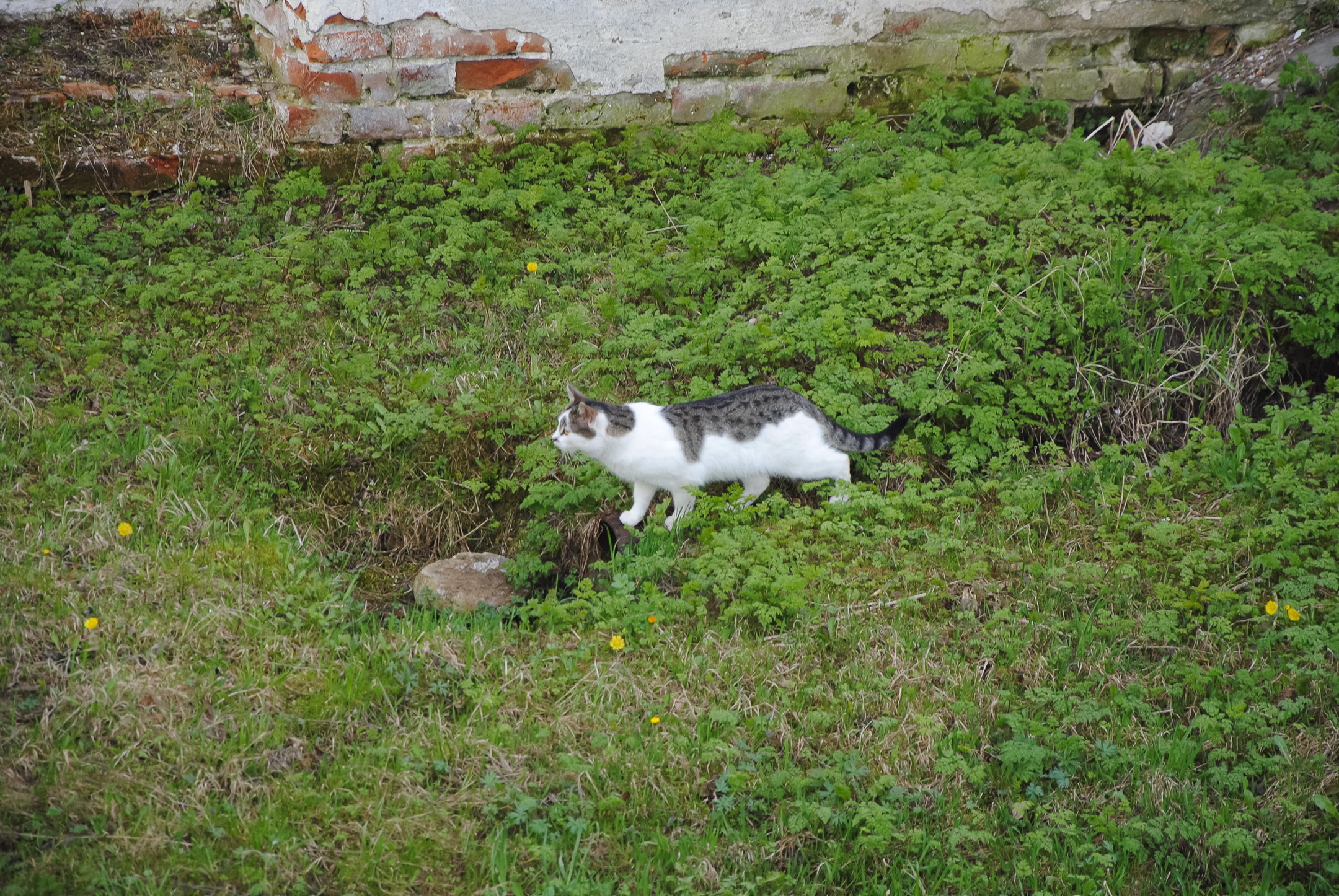 Ростов Великий. Портретный и архитектурный фотограф в Москве и Санкт-Петербурге