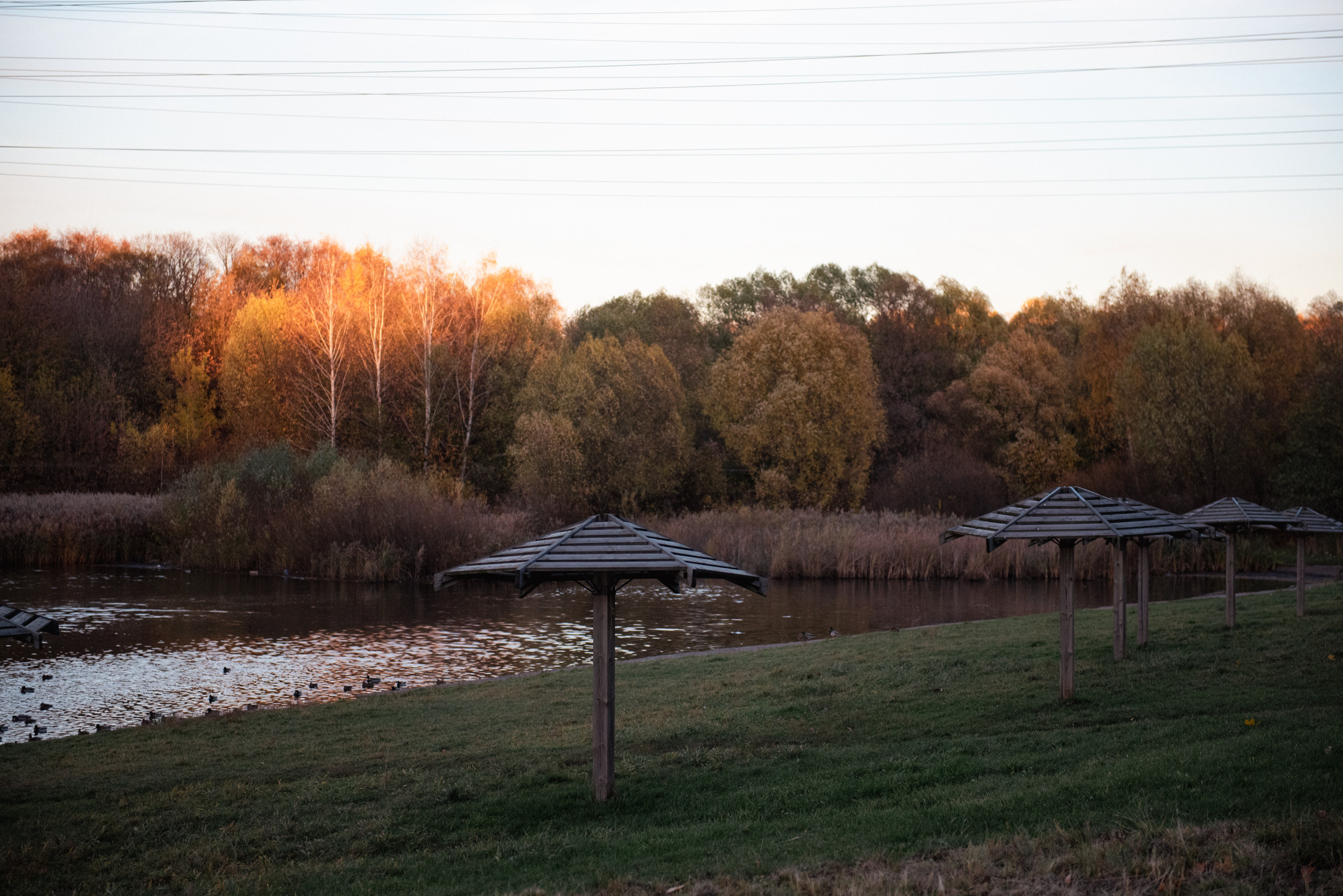 Природа. Портретный и архитектурный фотограф в Москве и Санкт-Петербурге