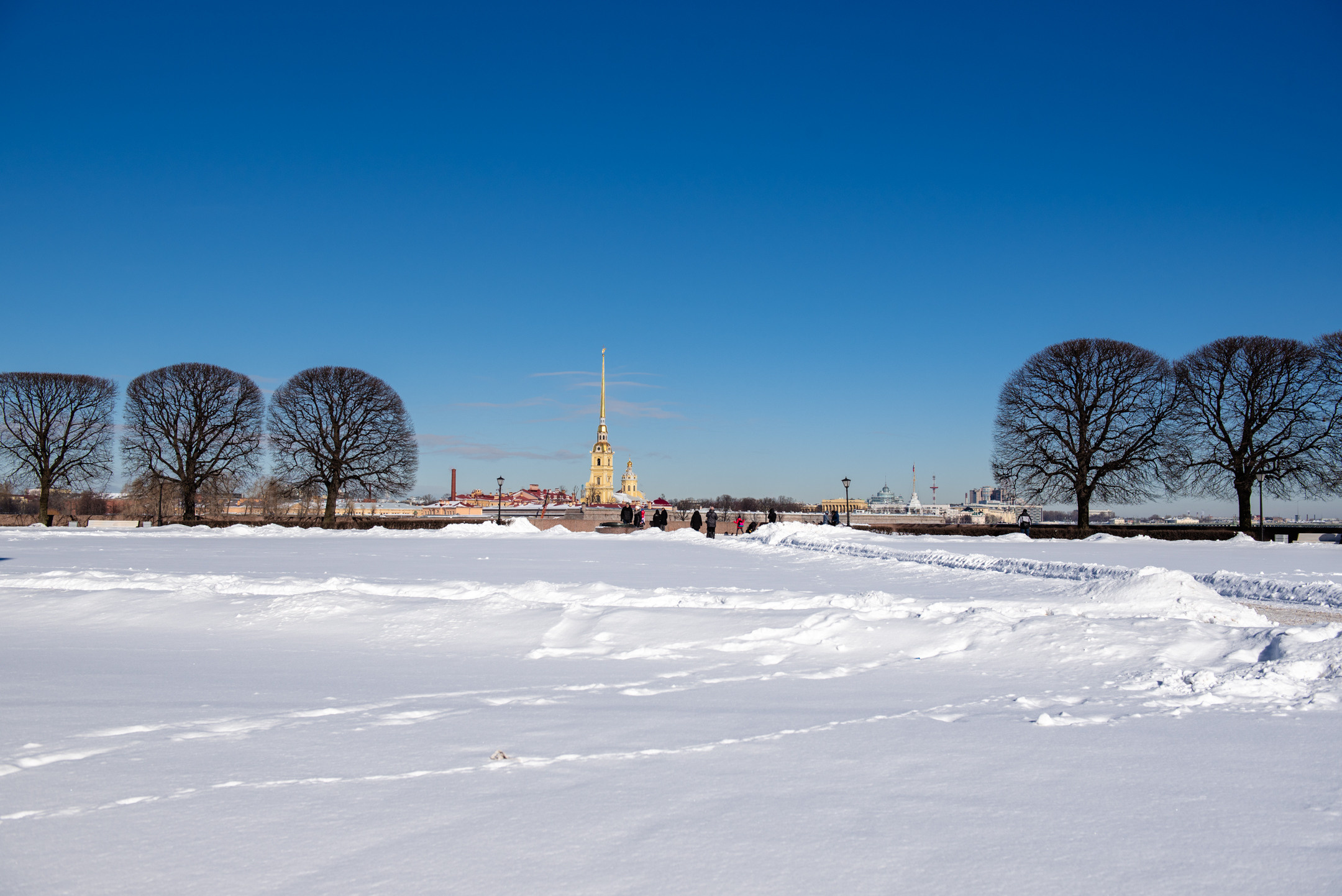 Стрелка Васильевского. Портретный и архитектурный фотограф в Москве и Санкт-Петербурге