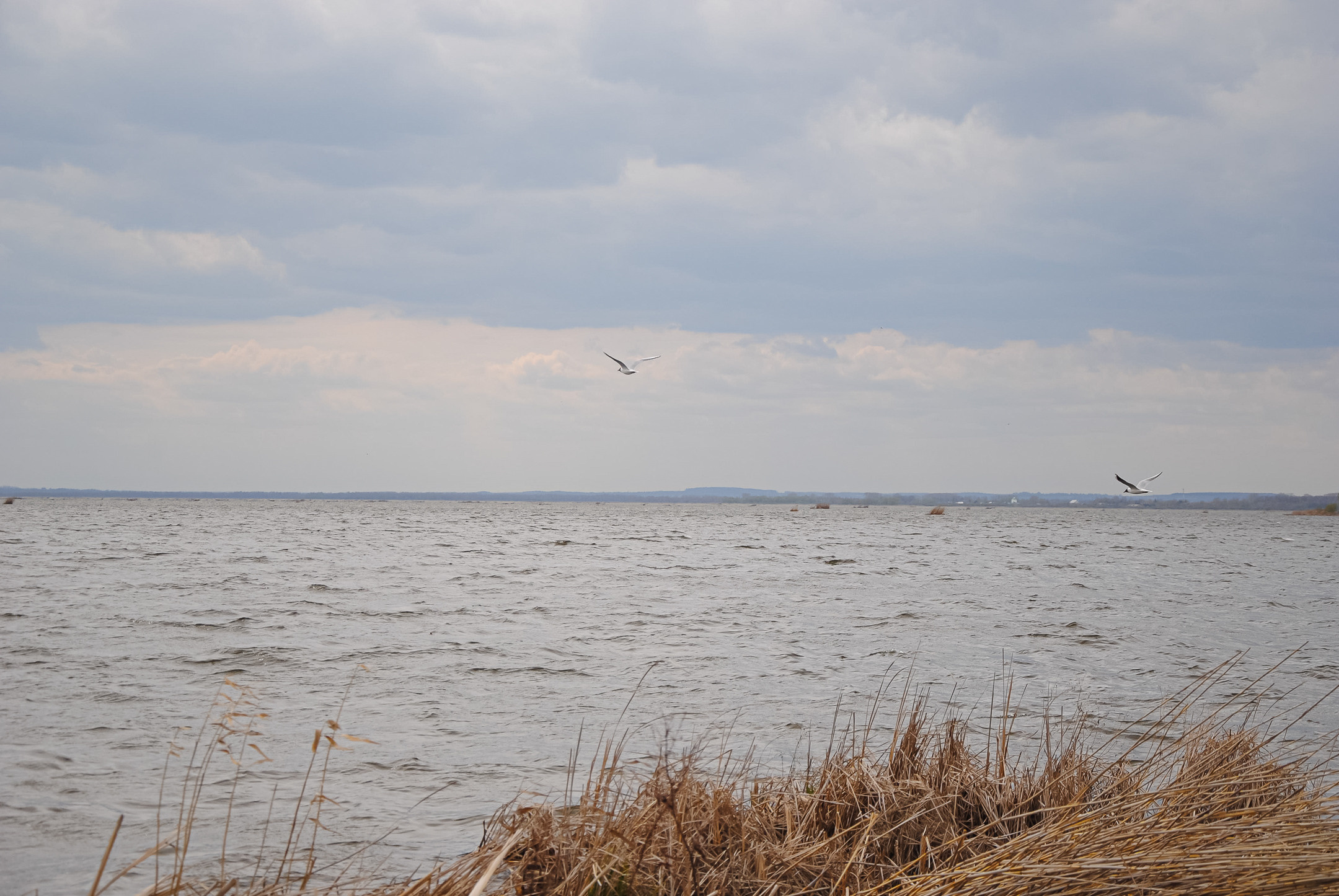 Ростов Великий. Портретный и архитектурный фотограф в Москве и Санкт-Петербурге