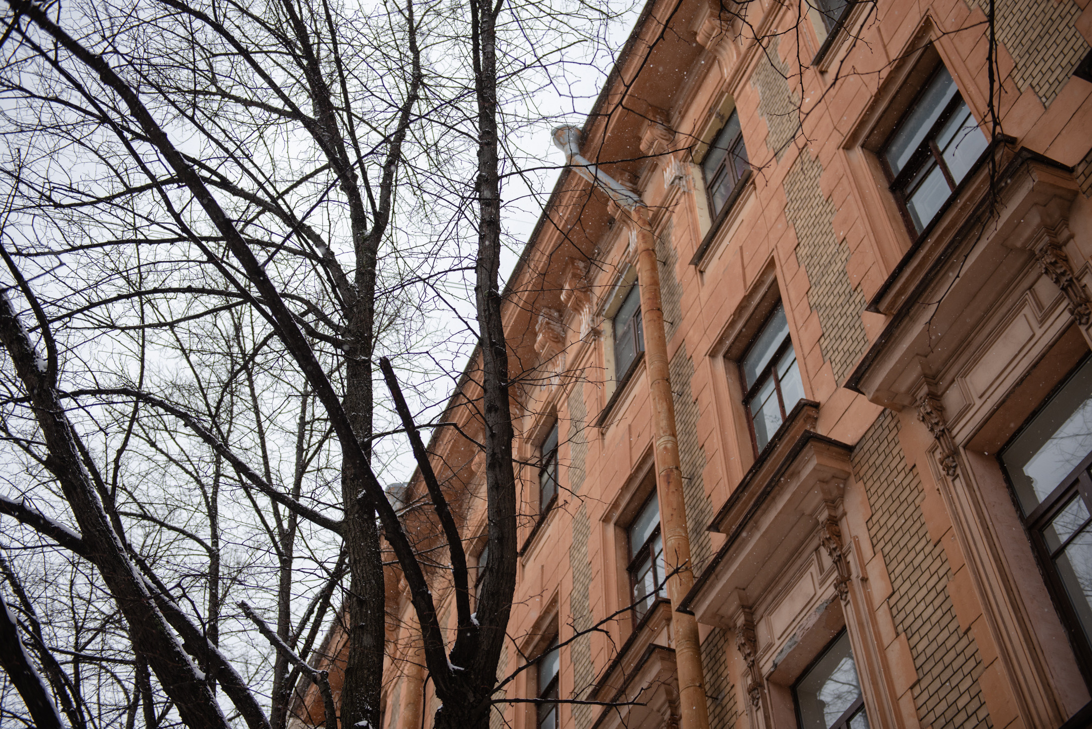 Петроградка. Портретный и архитектурный фотограф в Москве и Санкт-Петербурге