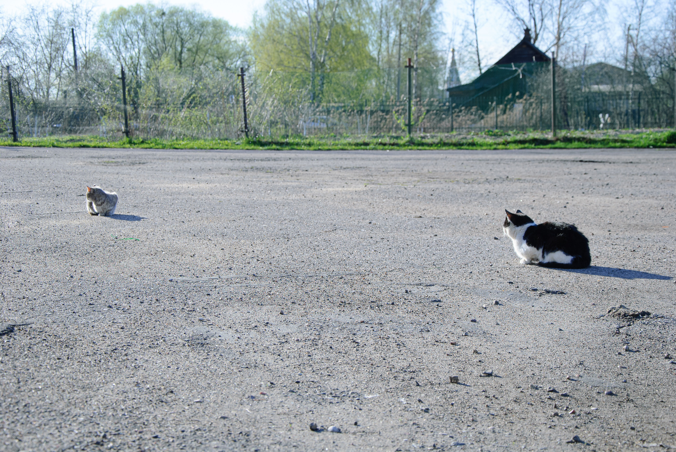 Ростов Великий. Портретный и архитектурный фотограф в Москве и Санкт-Петербурге