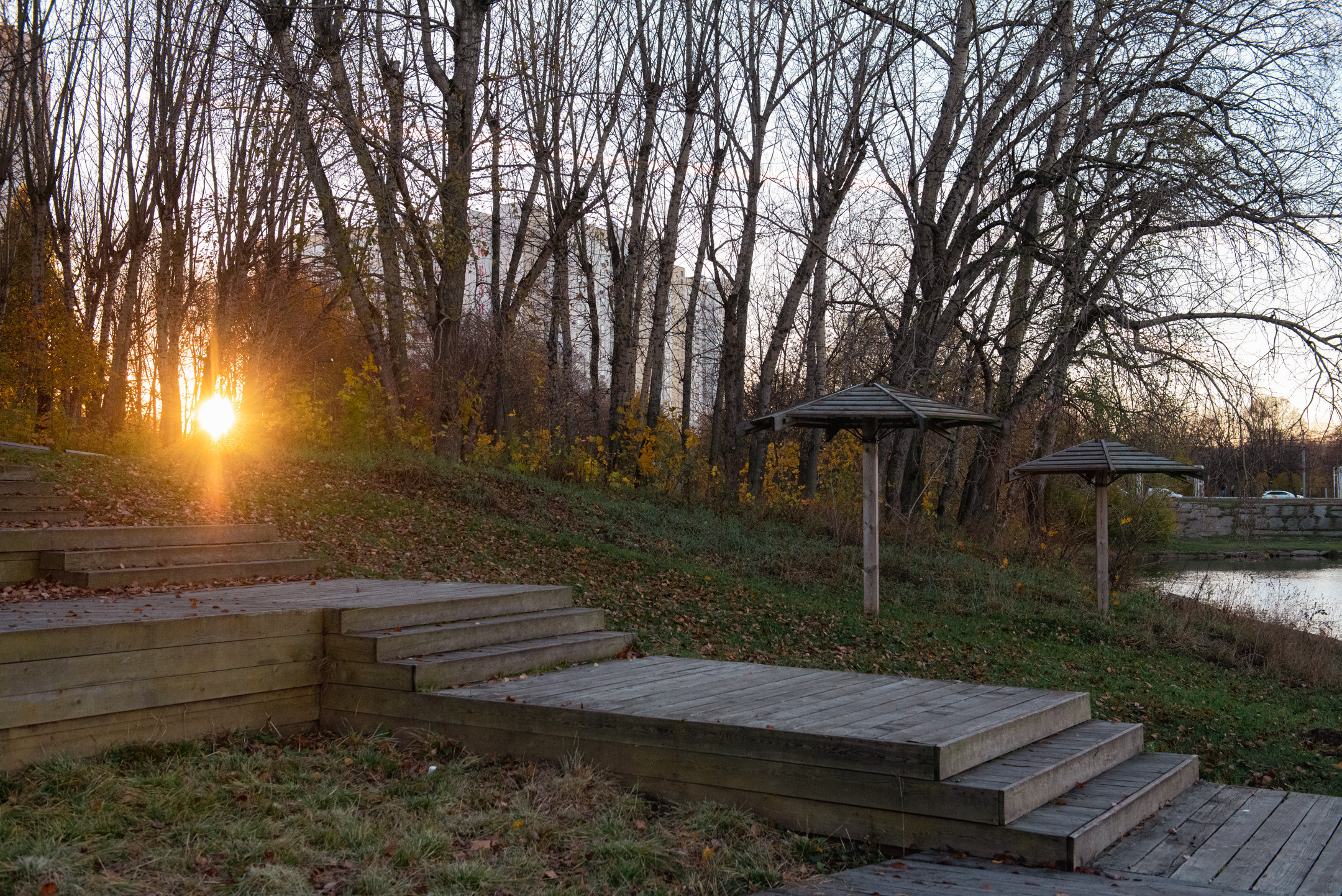 Природа. Портретный и архитектурный фотограф в Москве и Санкт-Петербурге