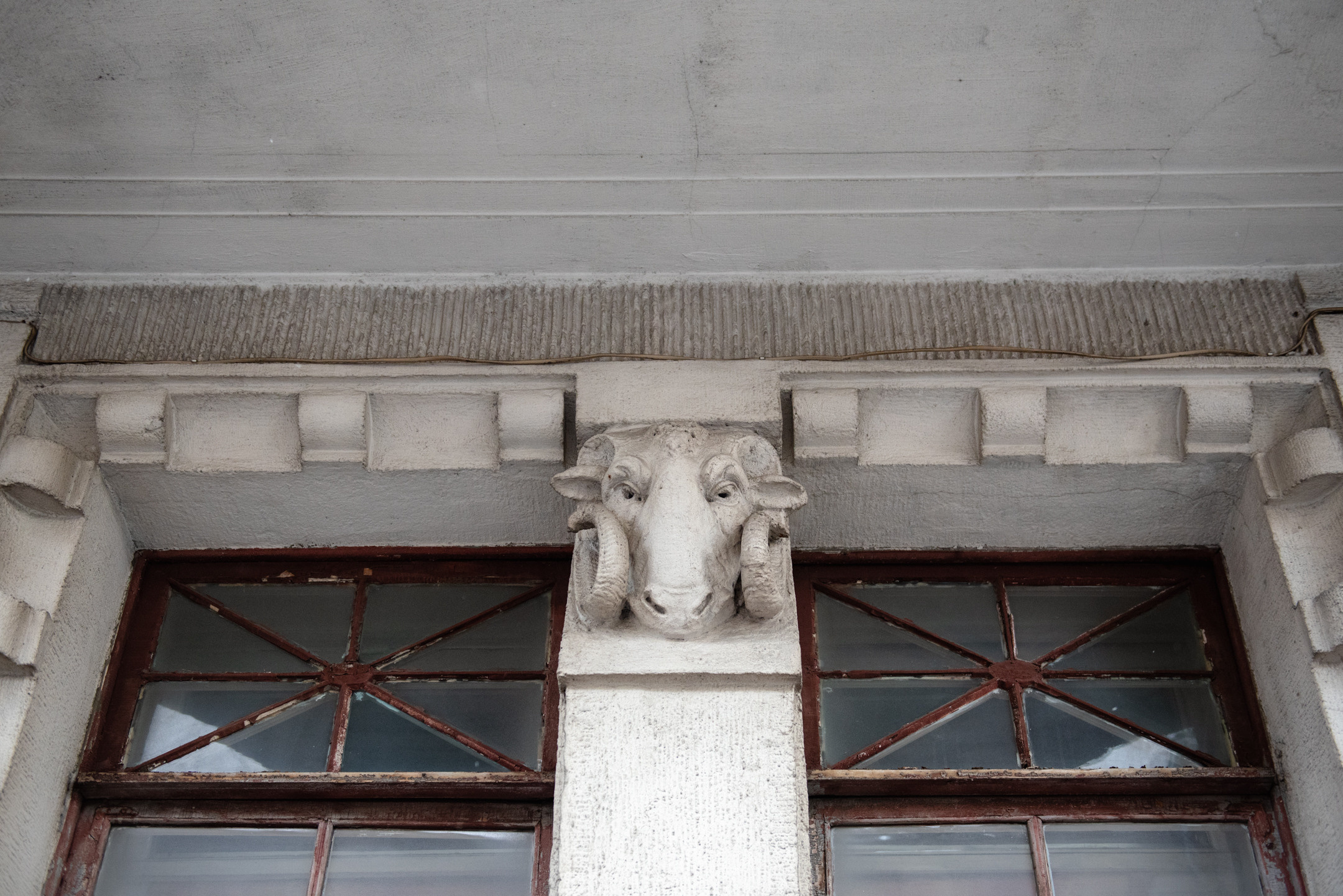 Петроградка. Портретный и архитектурный фотограф в Москве и Санкт-Петербурге