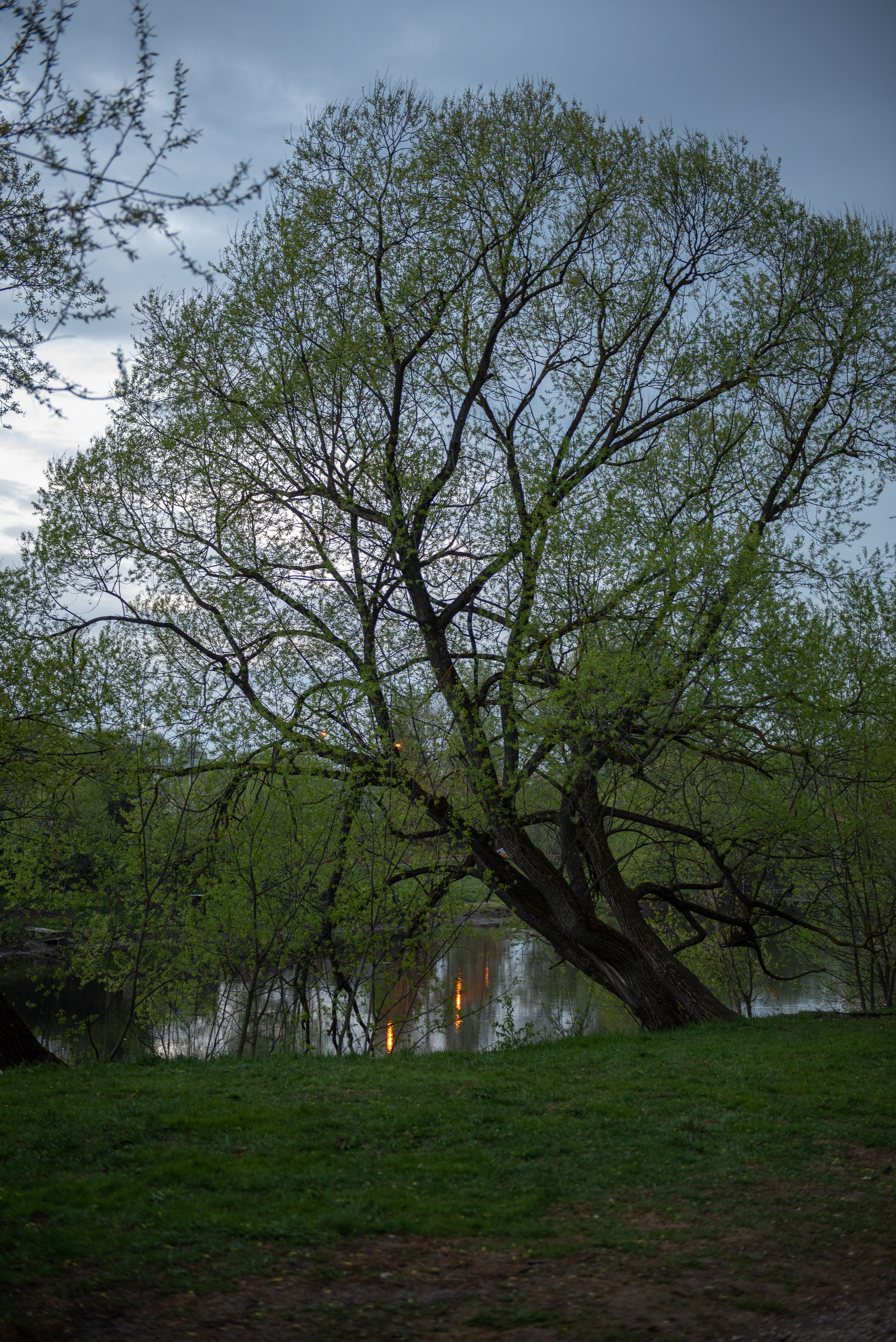 Дубровицы. Портретный и архитектурный фотограф в Москве и Санкт-Петербурге