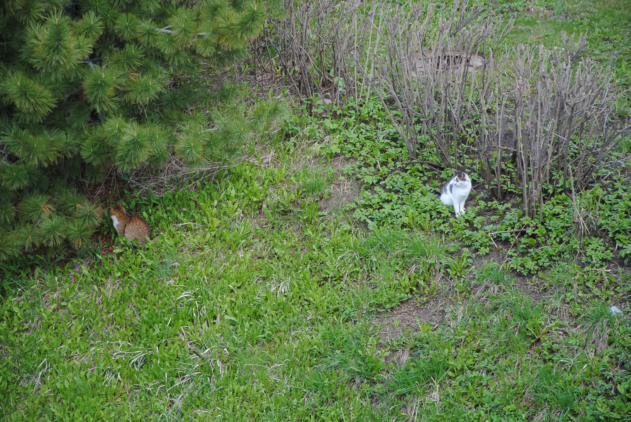 Ростов Великий. Портретный и архитектурный фотограф в Москве и Санкт-Петербурге