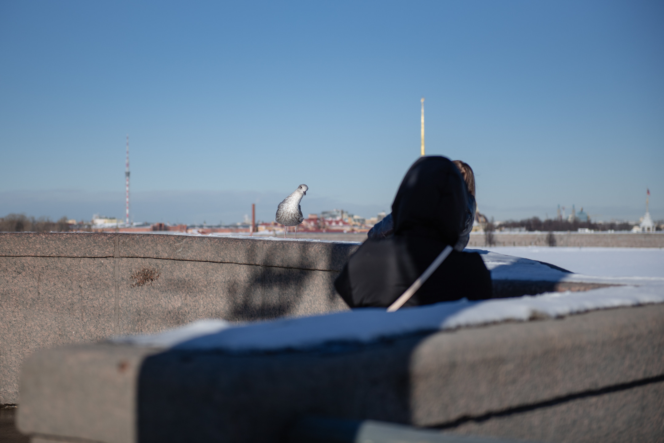 Стрелка Васильевского. Портретный и архитектурный фотограф в Москве и Санкт-Петербурге