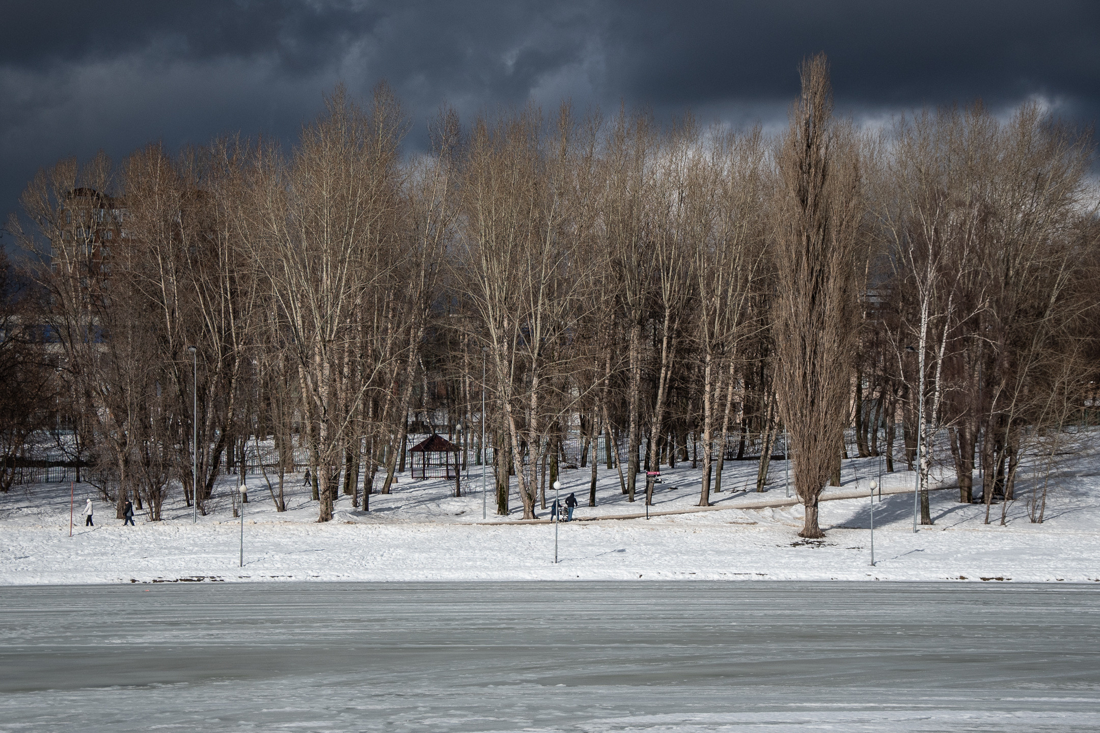 Природа. Портретный и архитектурный фотограф в Москве и Санкт-Петербурге