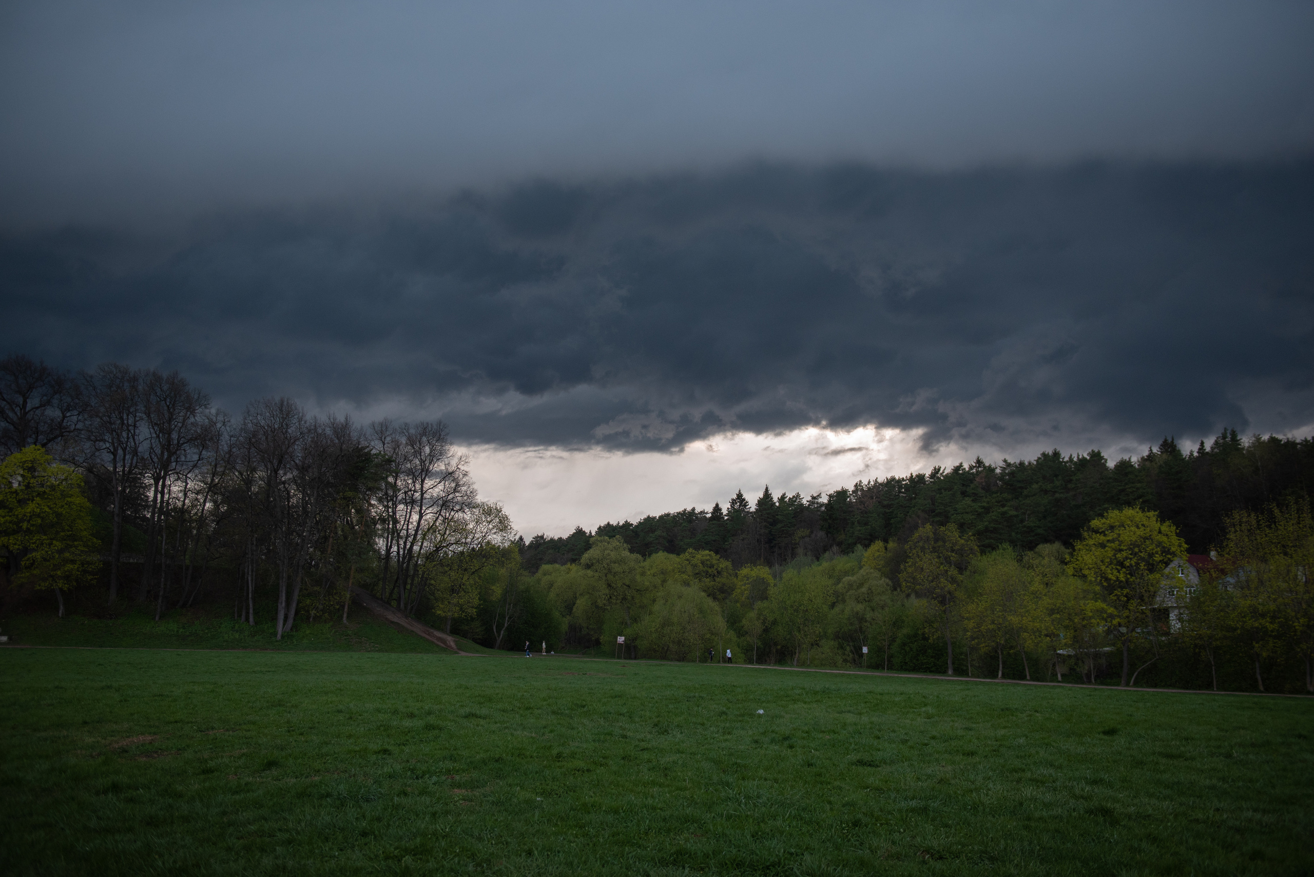 Дубровицы. Портретный и архитектурный фотограф в Москве и Санкт-Петербурге
