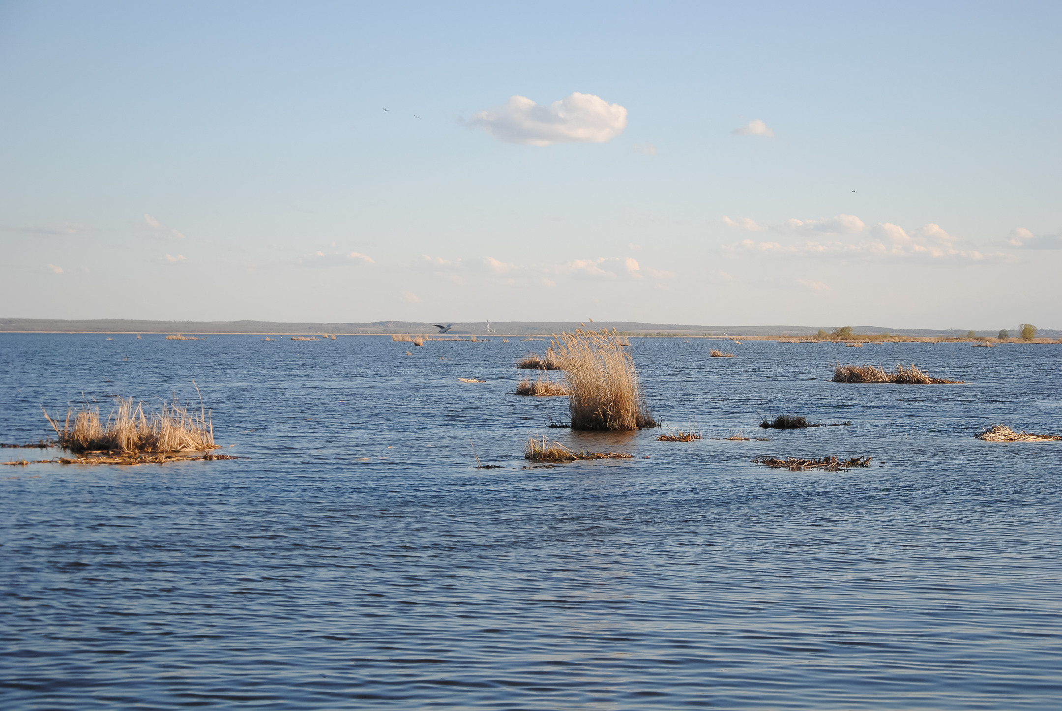 Ростов Великий. Портретный и архитектурный фотограф в Москве и Санкт-Петербурге
