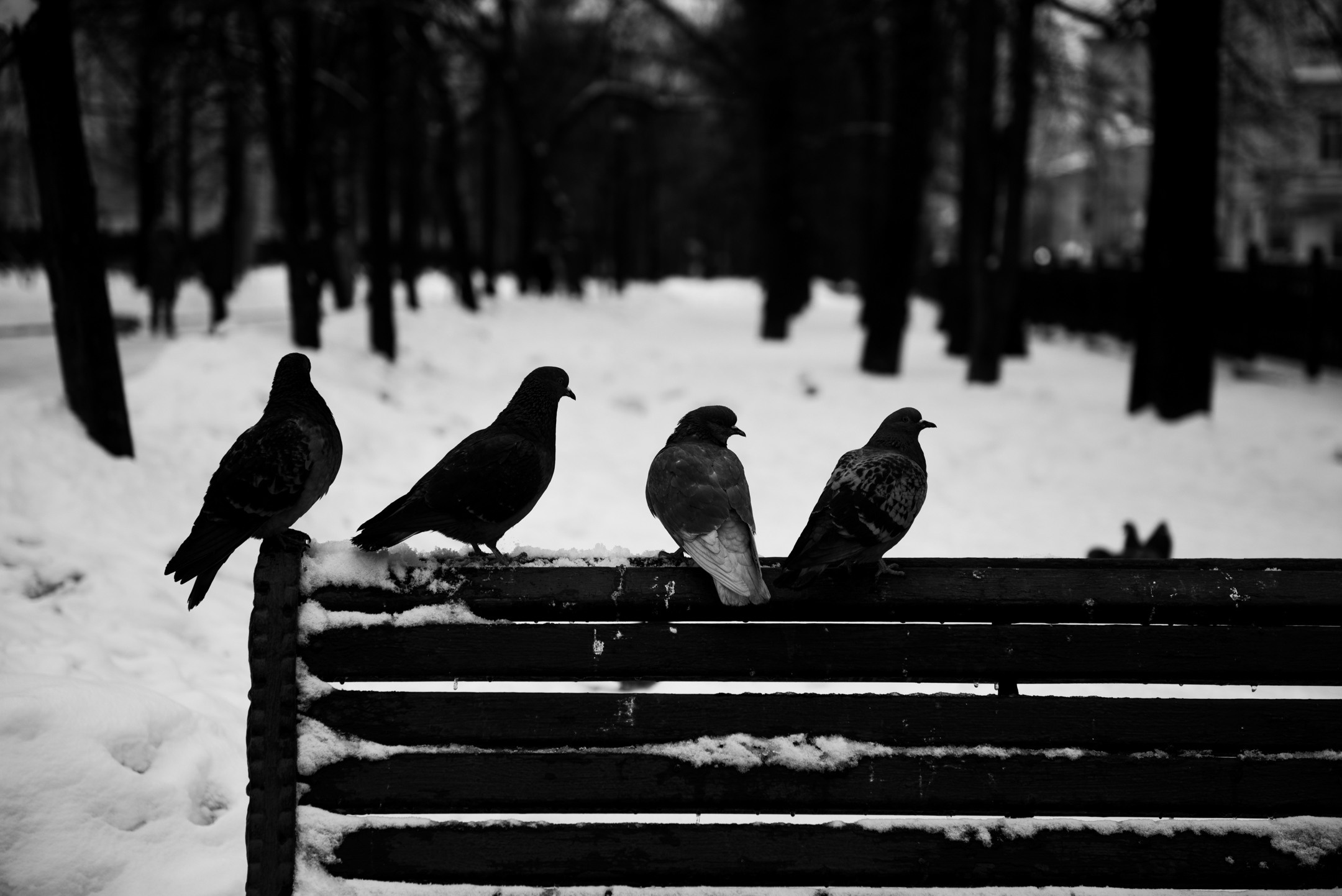 Март. Портретный и архитектурный фотограф в Москве и Санкт-Петербурге