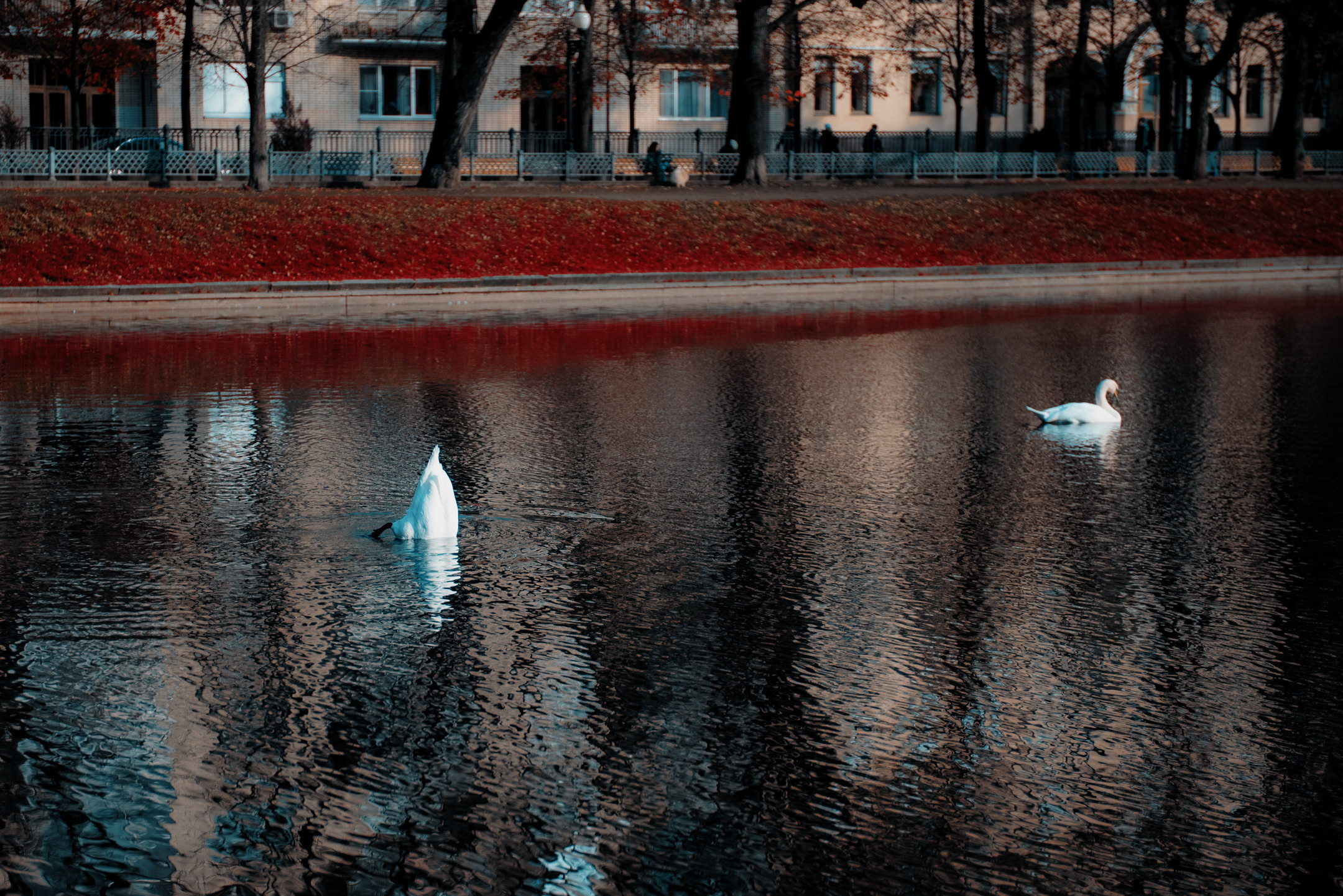 Аля. Портретный и архитектурный фотограф в Москве и Санкт-Петербурге