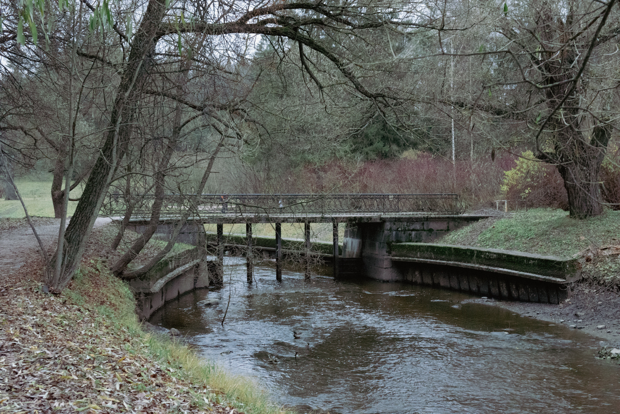 Павловск. Портретный и архитектурный фотограф в Москве и Санкт-Петербурге