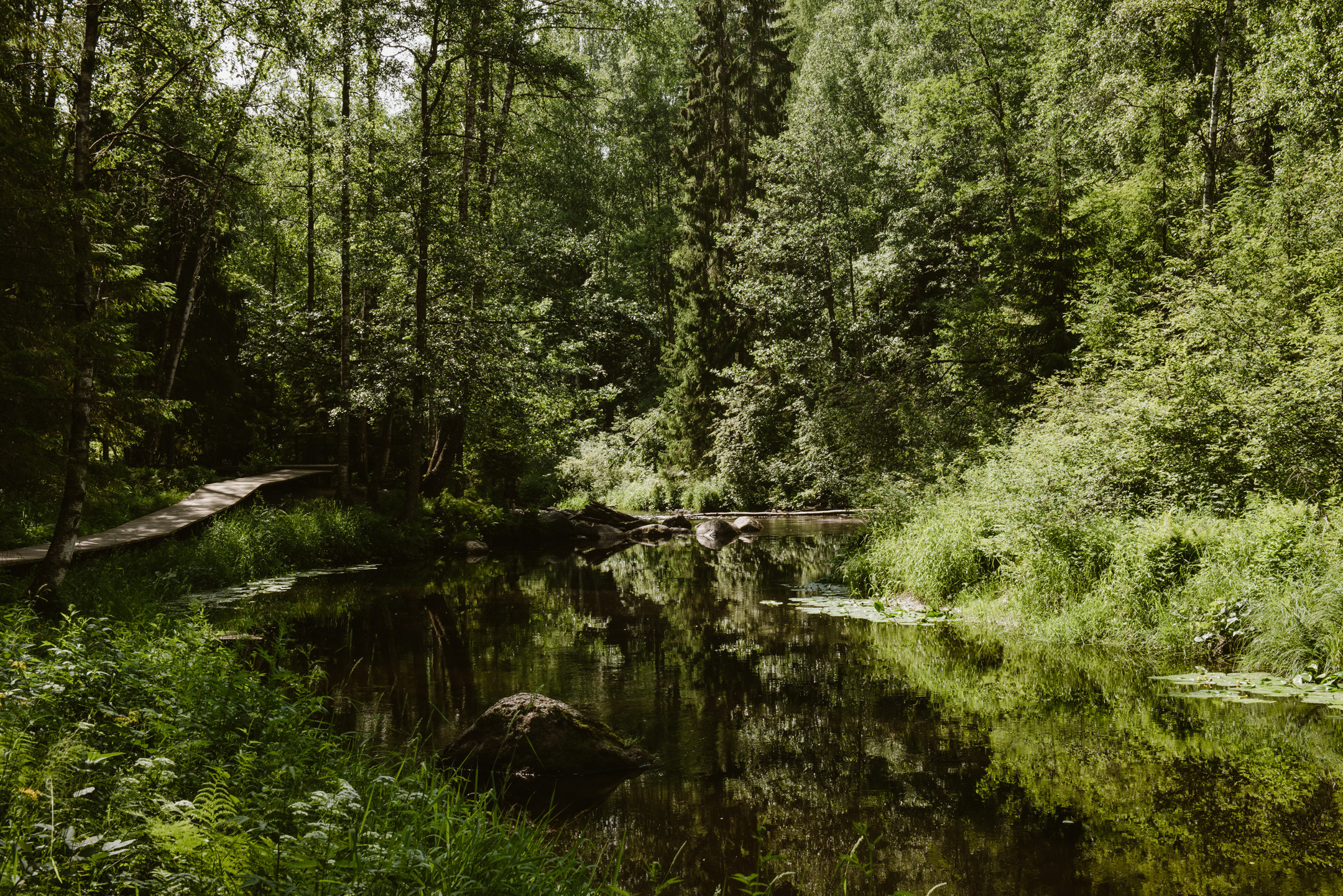 Линдуловская роща. Портретный и архитектурный фотограф в Москве и Санкт-Петербурге