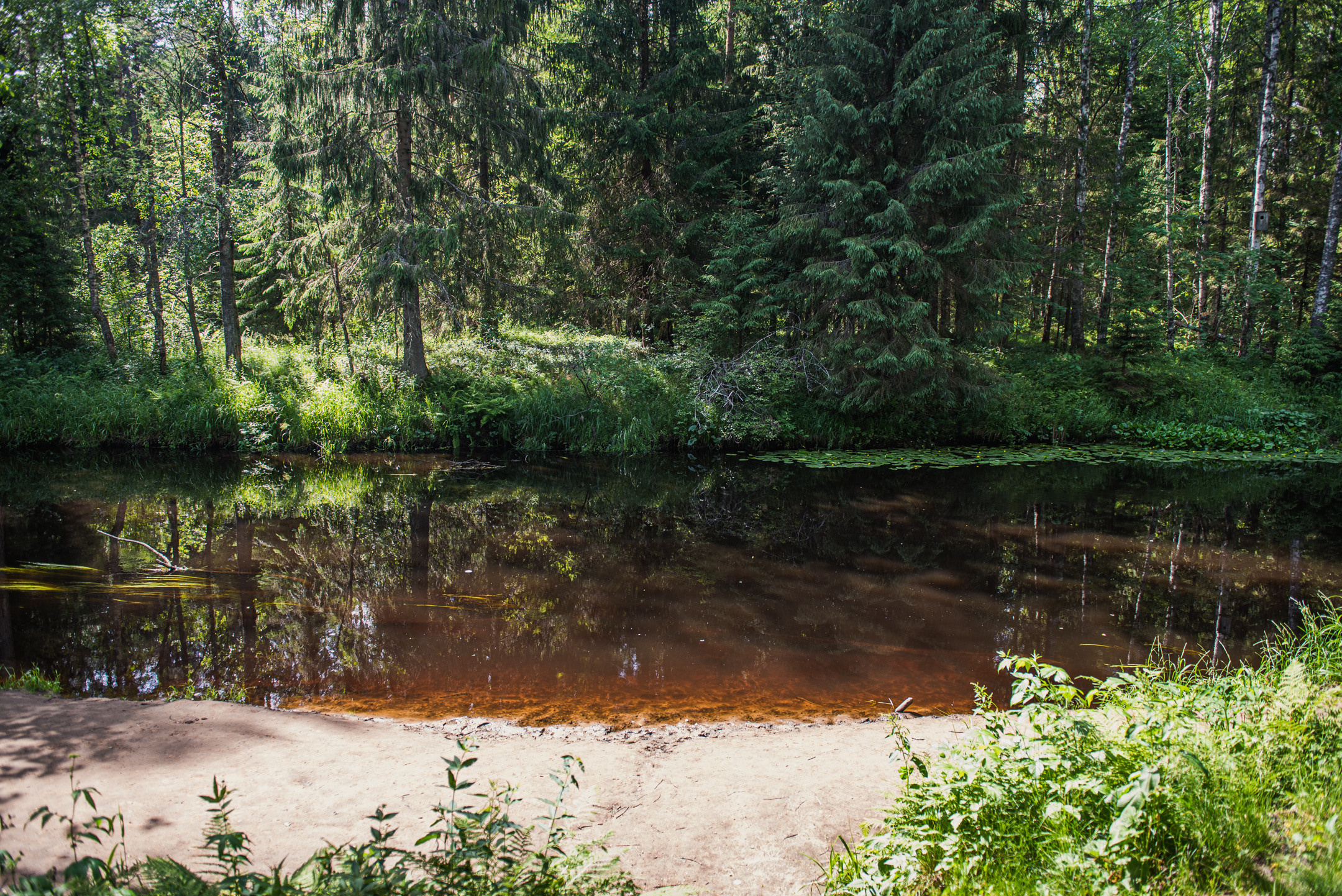 Линдуловская роща. Портретный и архитектурный фотограф в Москве и Санкт-Петербурге