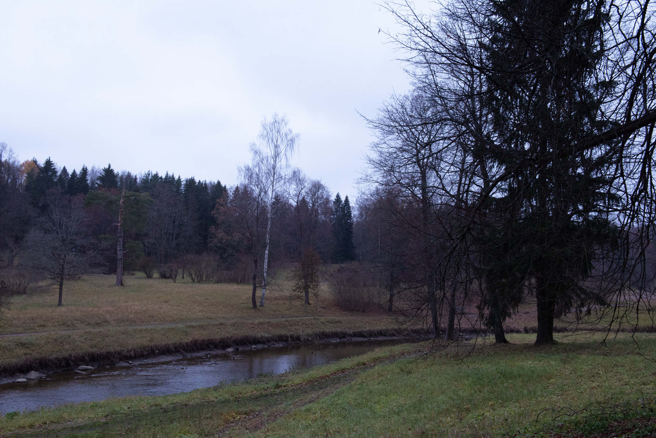 Павловск. Портретный и архитектурный фотограф в Москве и Санкт-Петербурге