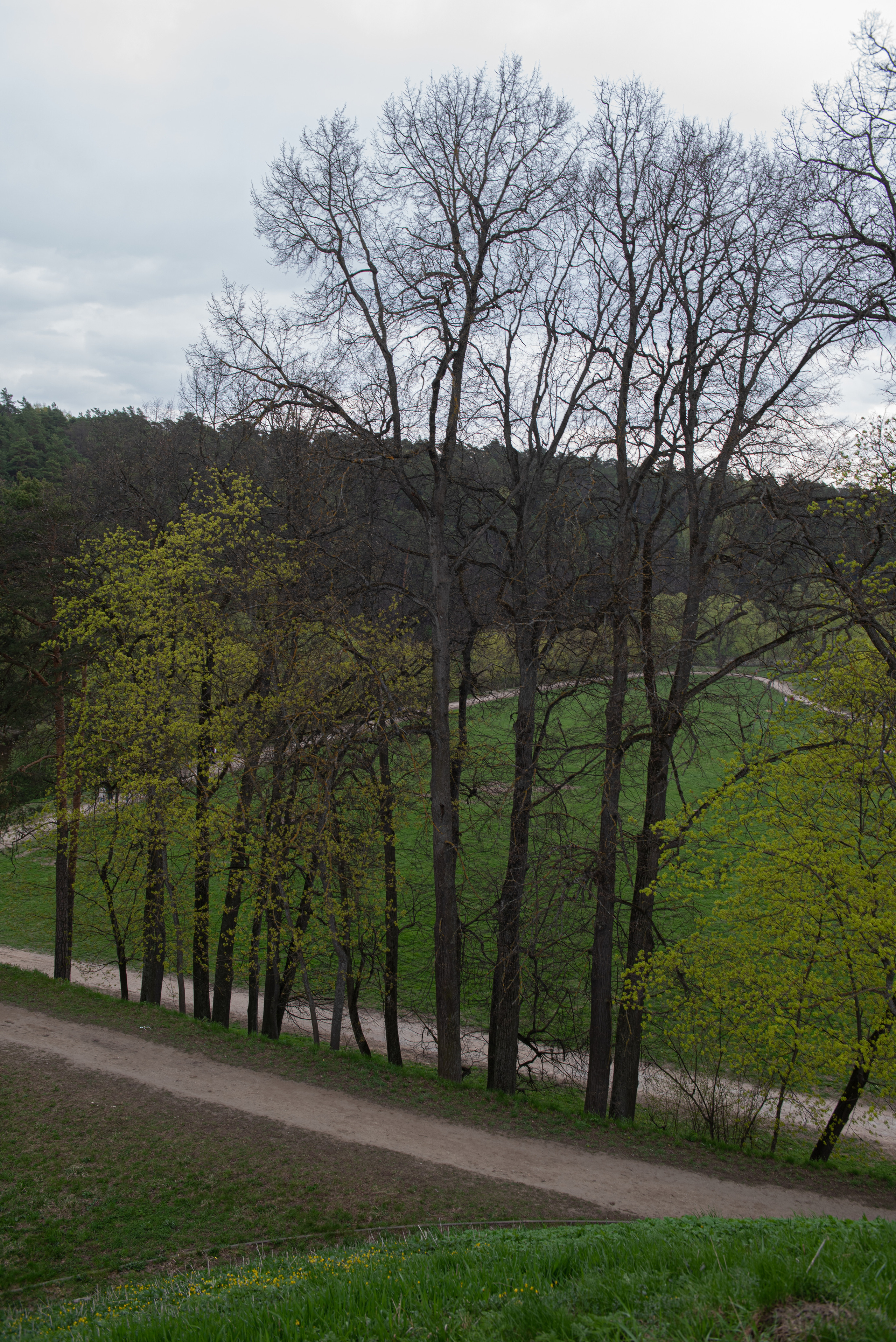 Дубровицы. Портретный и архитектурный фотограф в Москве и Санкт-Петербурге
