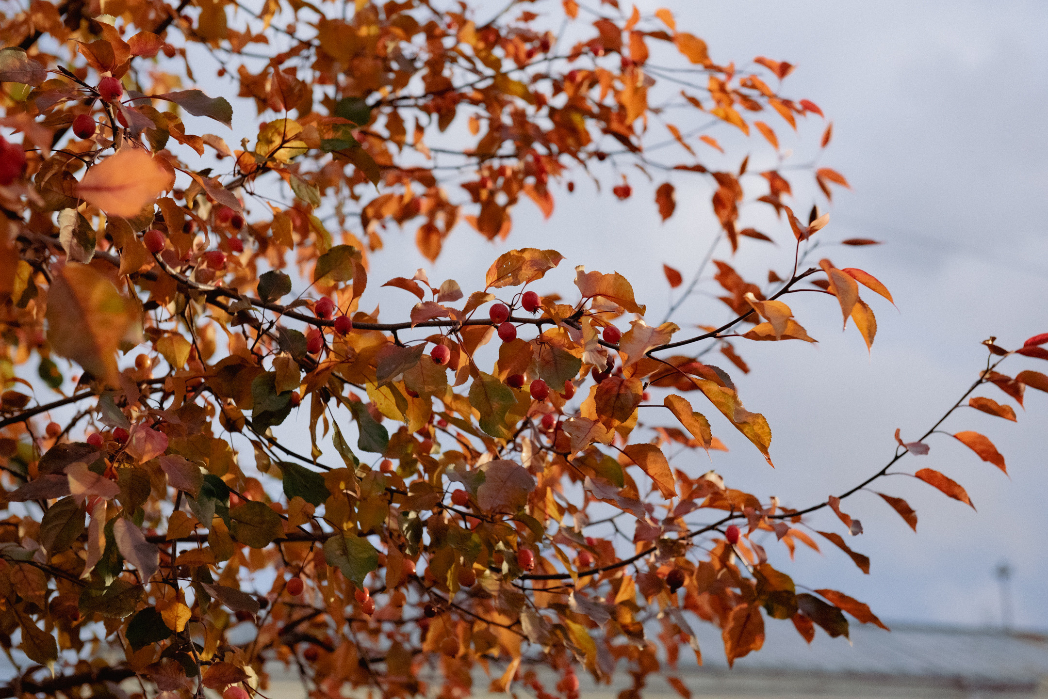 Москва. Портретный и архитектурный фотограф в Москве и Санкт-Петербурге