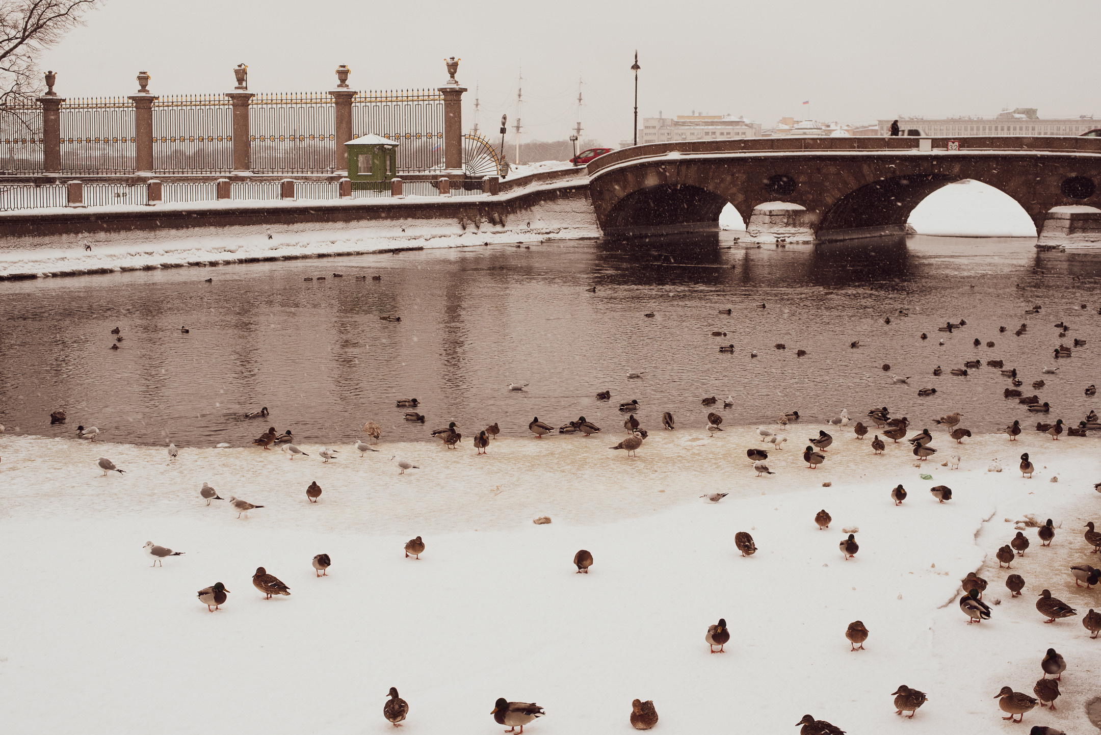 Санкт-Петербург. Портретный и архитектурный фотограф в Москве и Санкт-Петербурге