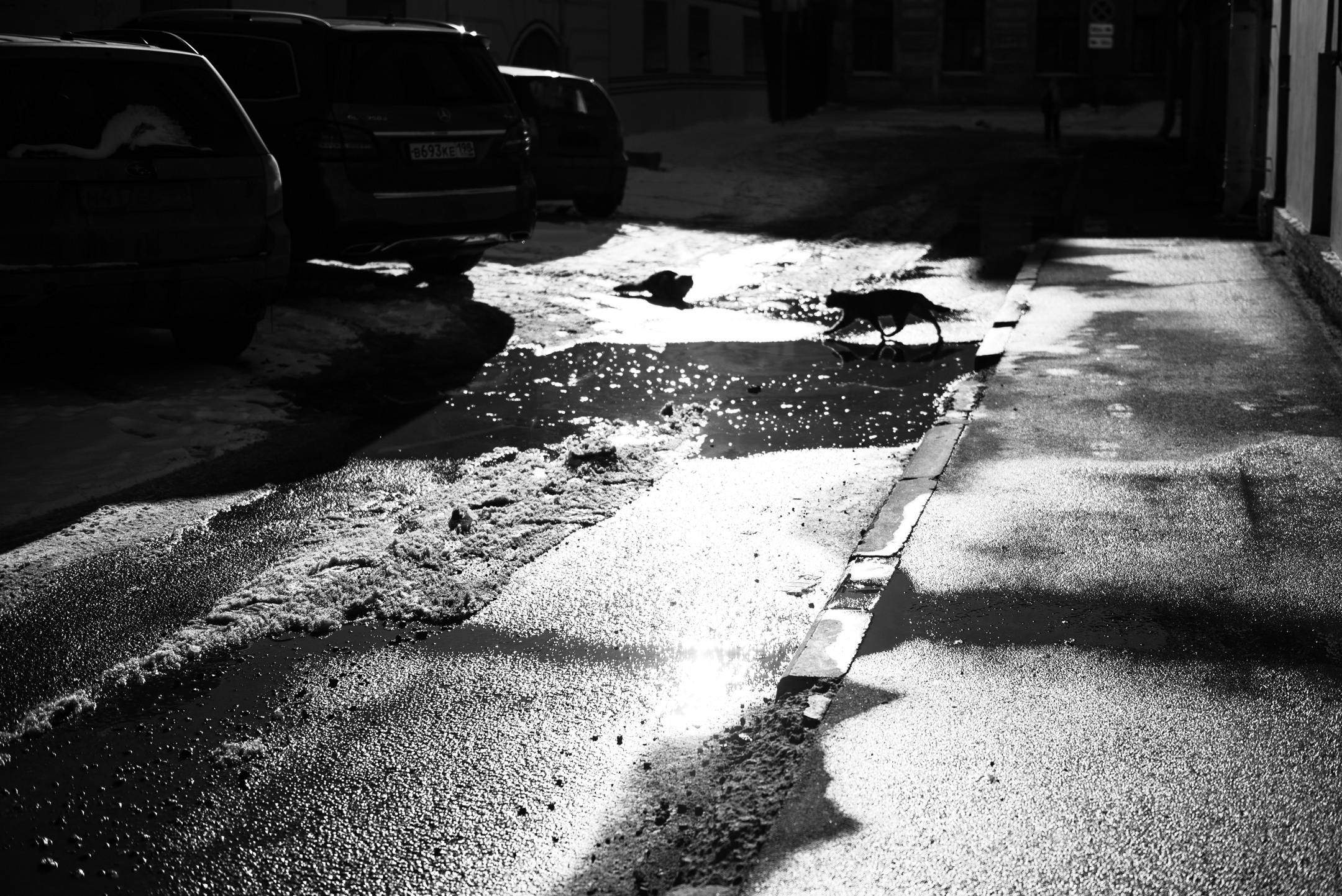 Вокруг Адмиралтейства и Гороховой. Портретный и архитектурный фотограф в Москве и Санкт-Петербурге