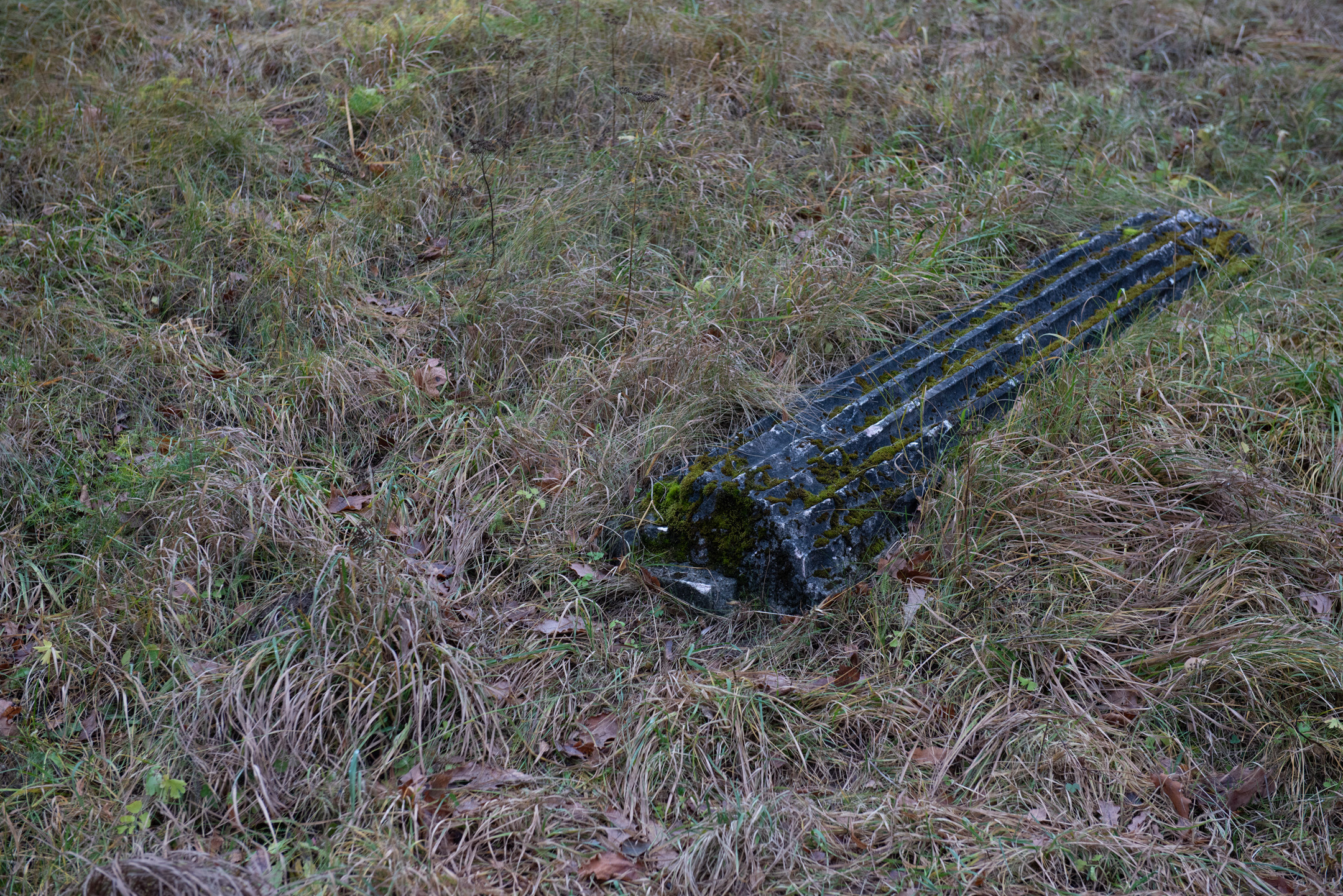 Павловск. Портретный и архитектурный фотограф в Москве и Санкт-Петербурге