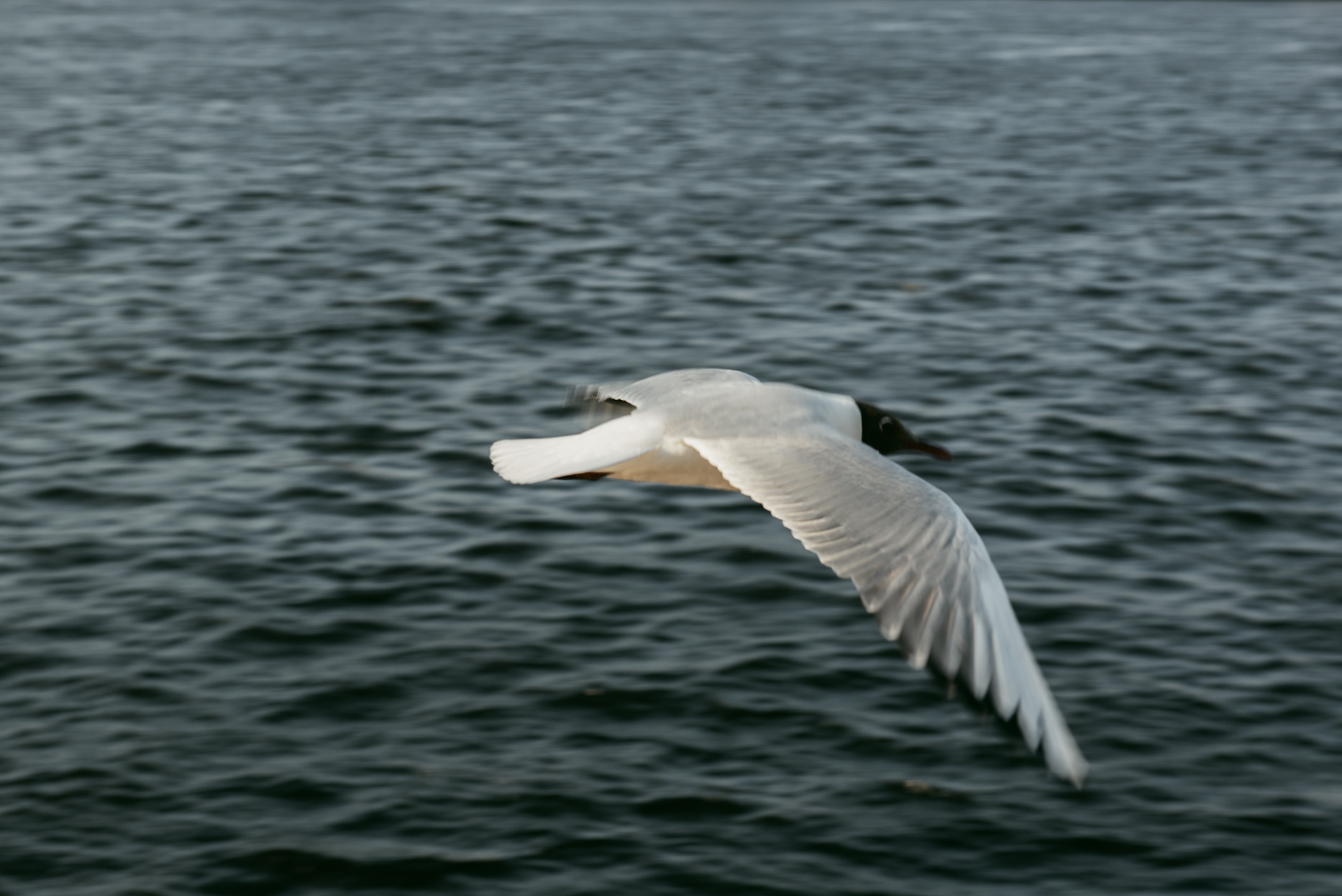 Санкт-Петербург. Портретный и архитектурный фотограф в Москве и Санкт-Петербурге