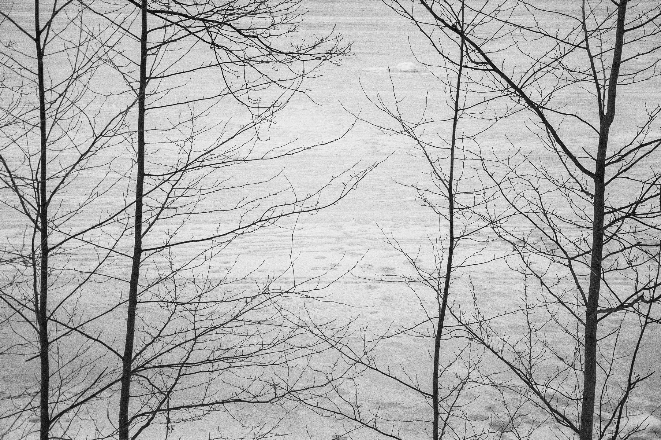 Зима. Портретный и архитектурный фотограф в Москве и Санкт-Петербурге