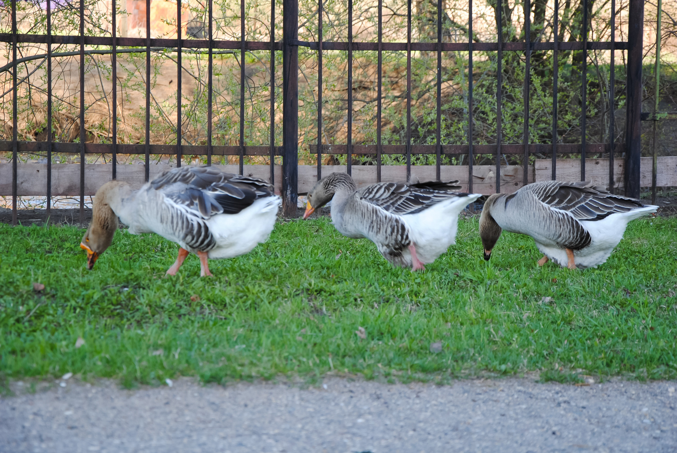 Ростов Великий. Портретный и архитектурный фотограф в Москве и Санкт-Петербурге