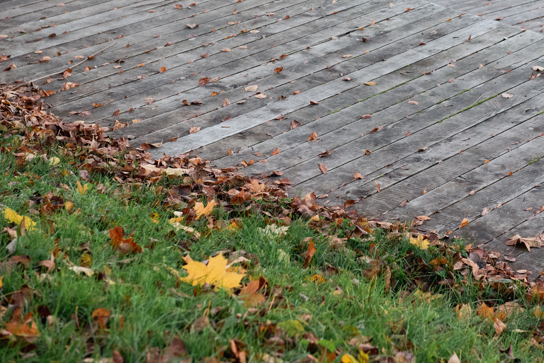 Природа. Портретный и архитектурный фотограф в Москве и Санкт-Петербурге