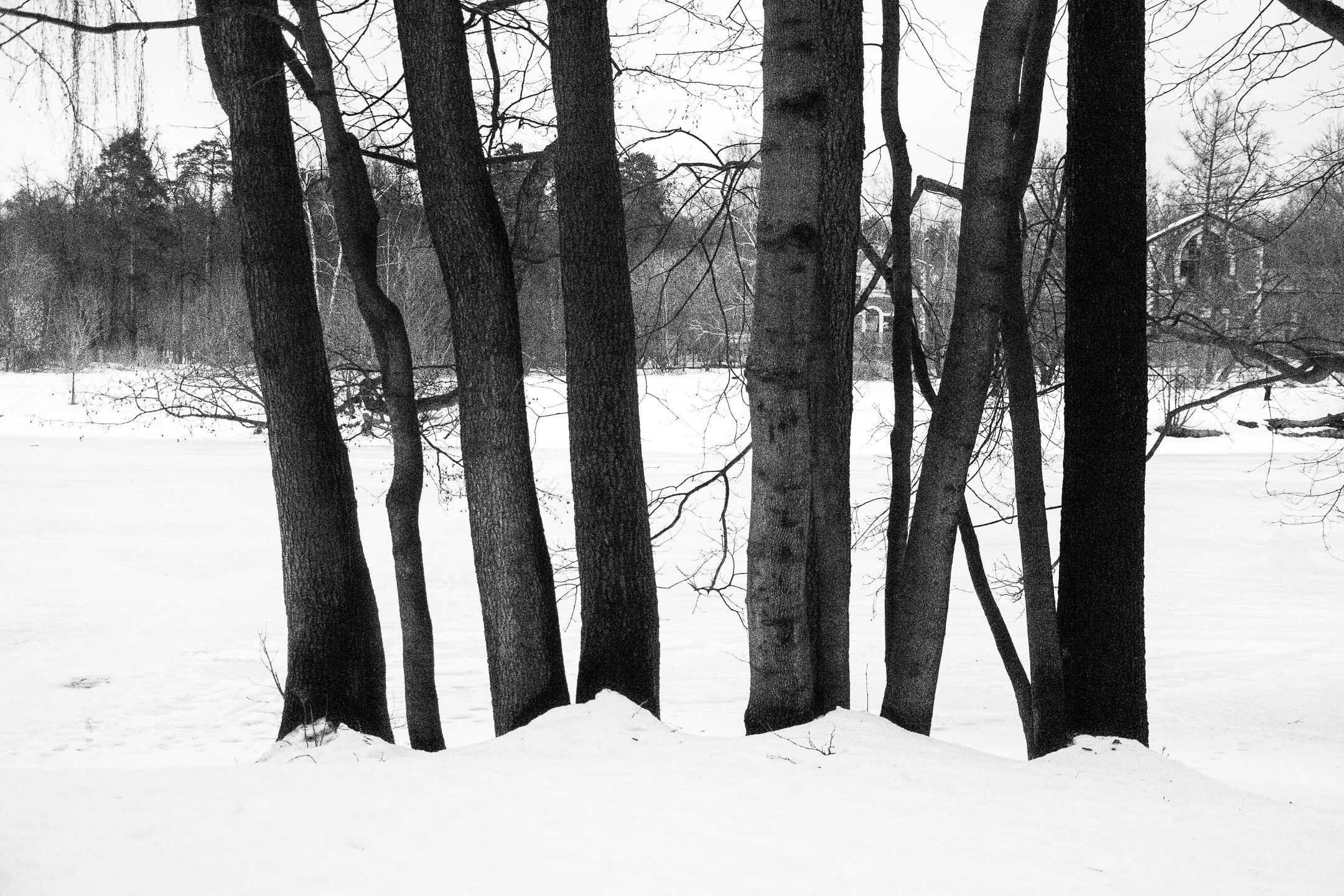 Зима. Портретный и архитектурный фотограф в Москве и Санкт-Петербурге